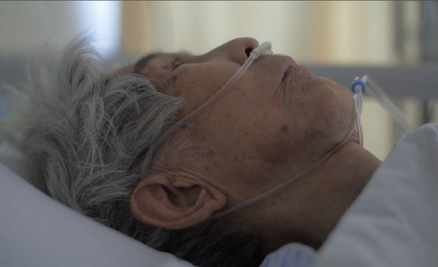 Un tigre court dans la montagne