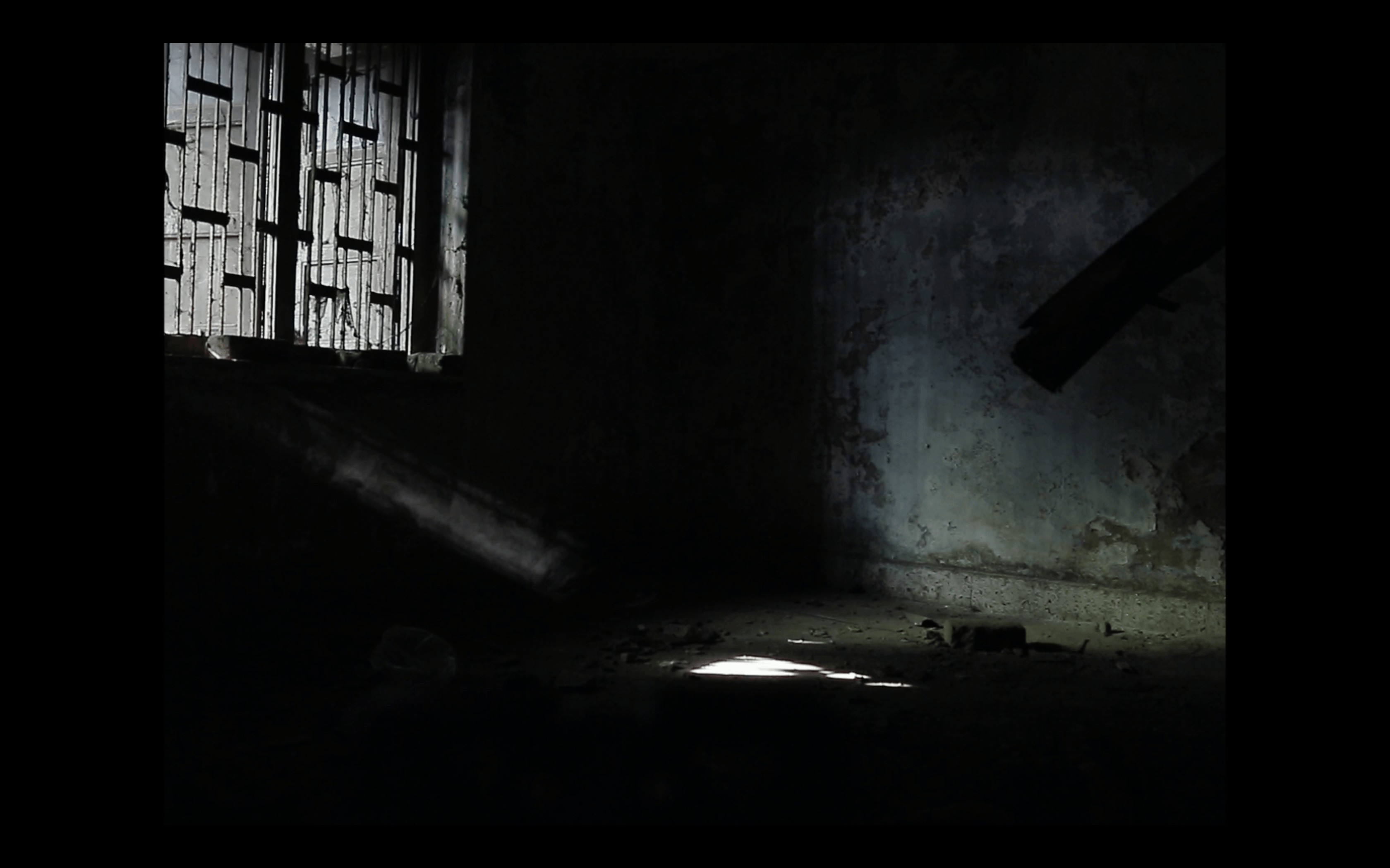 Memoirs of Saira & Salim