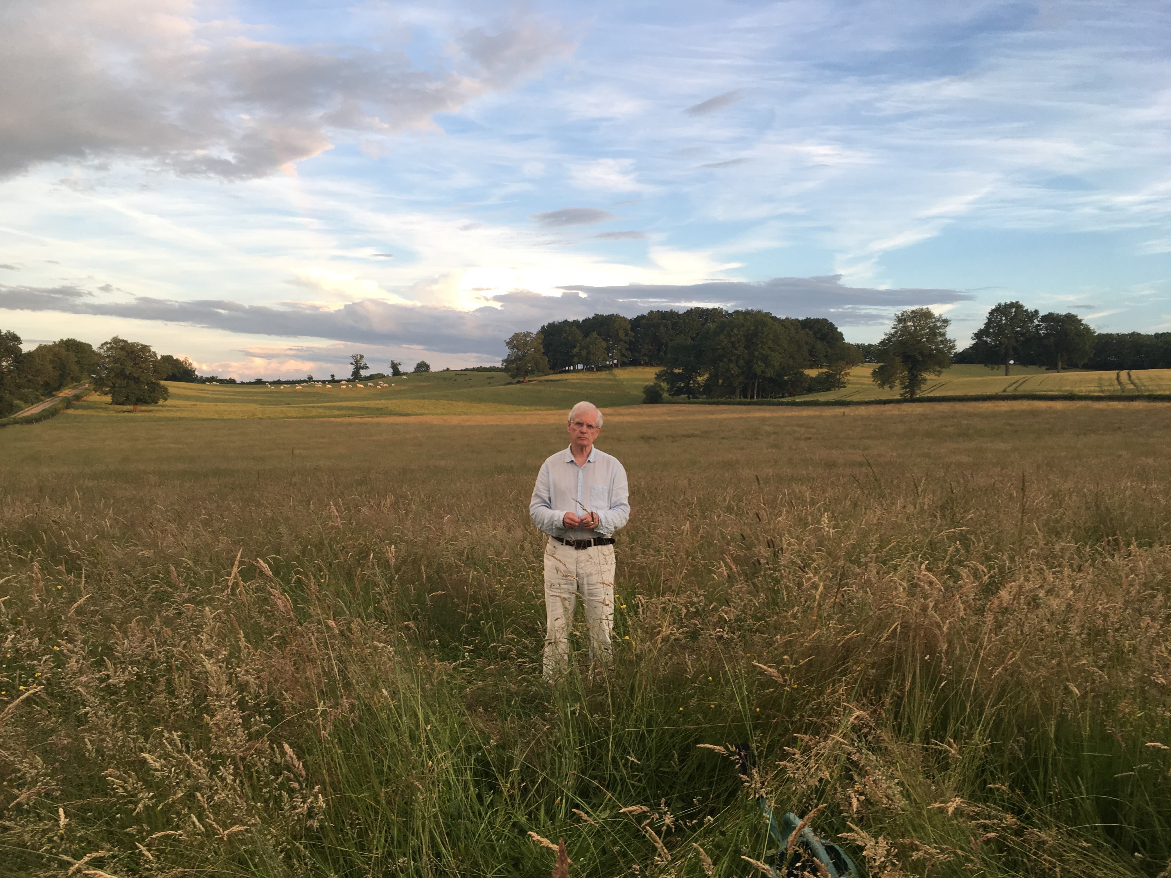 Paysage avec du violet