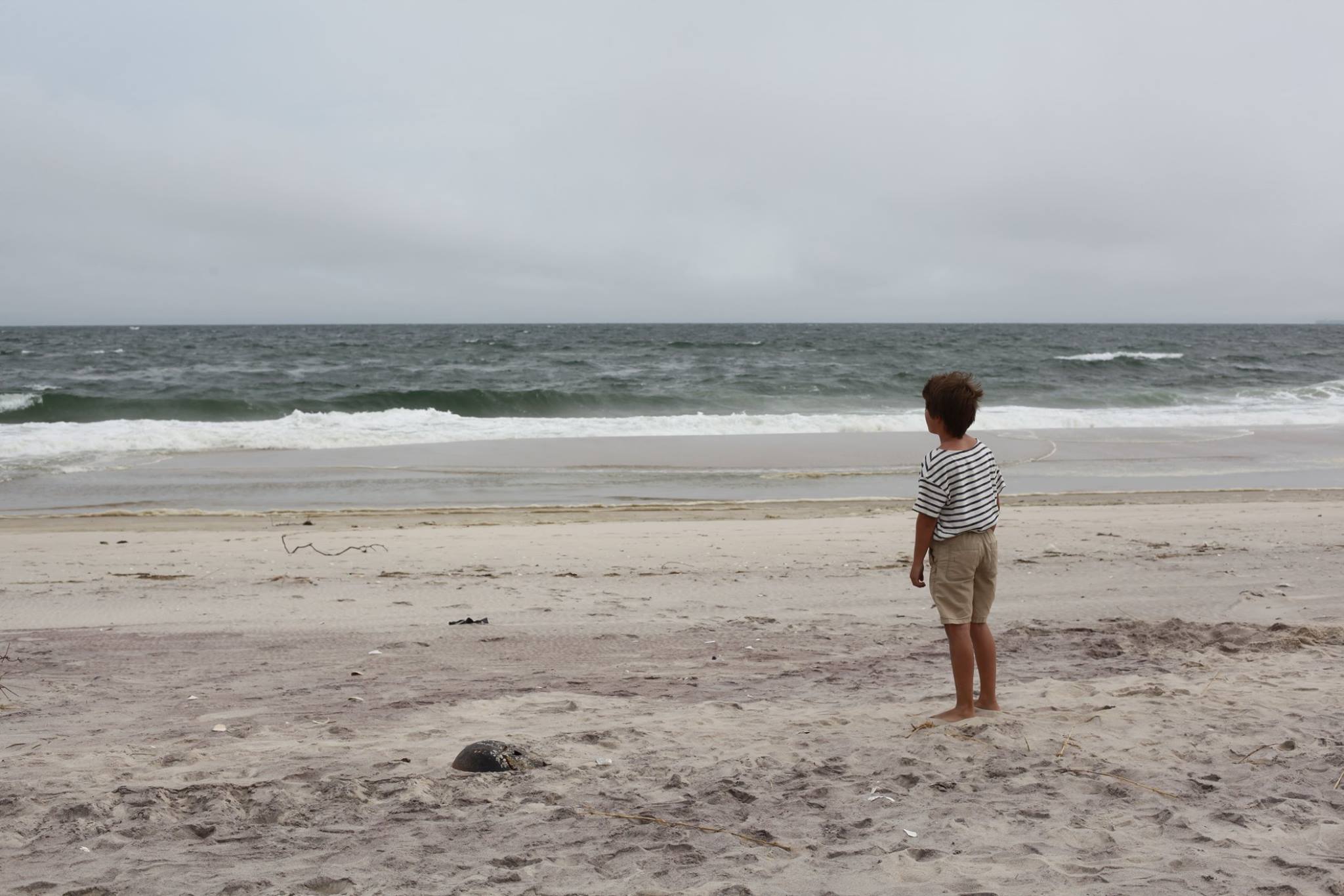 Old Man at the Shore