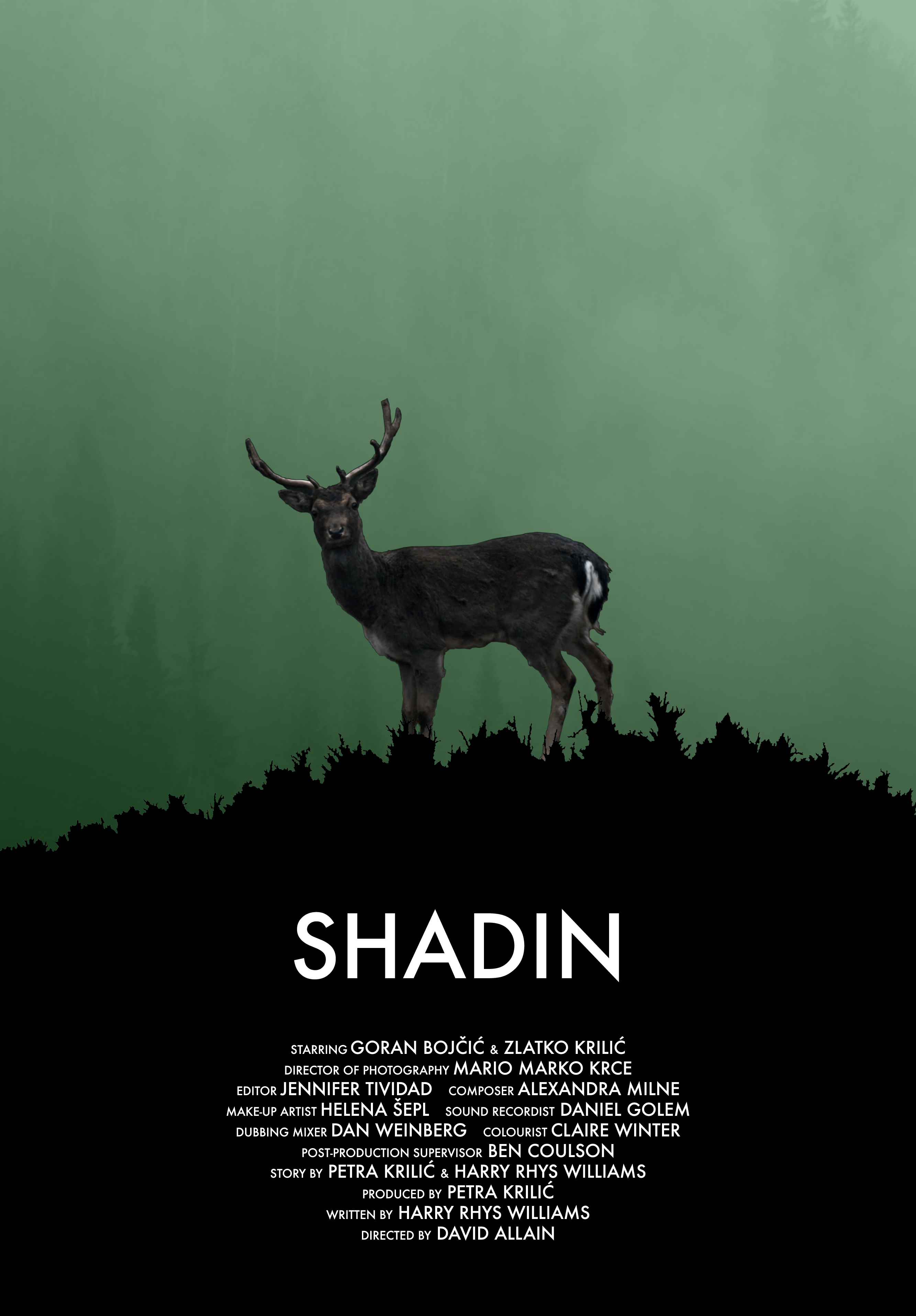 Shadin