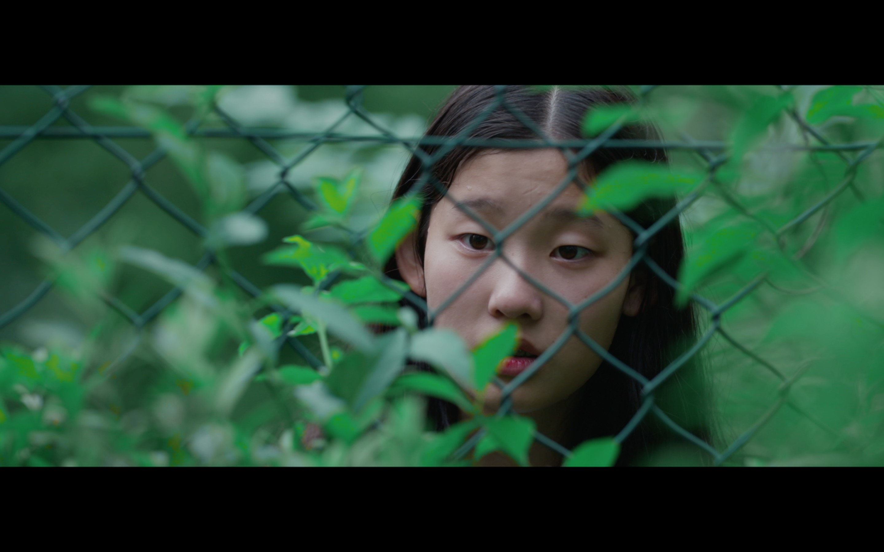 Following The Shiny Object