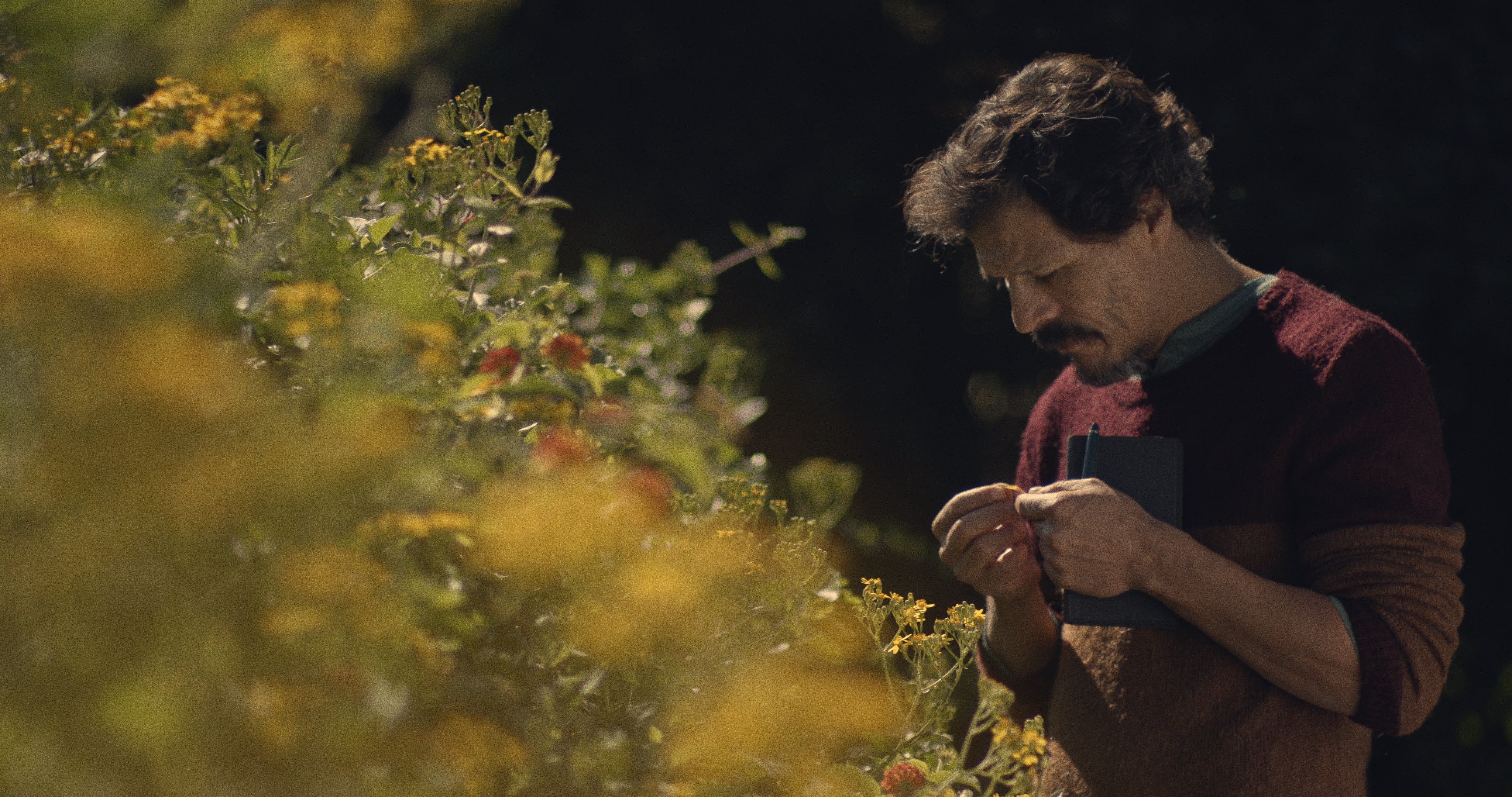 Sobre cosas que me han pasado