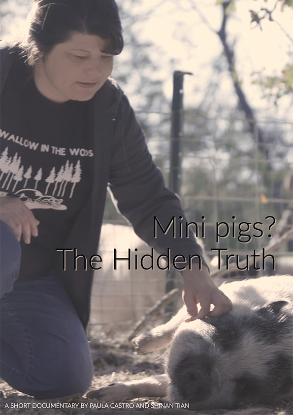Mini Pigs? The Hidden Truth