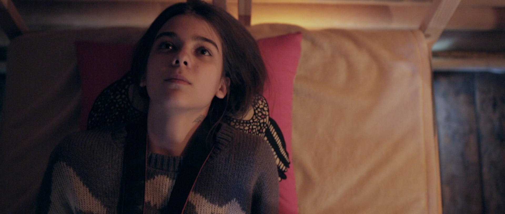 Butterflies fly in winter