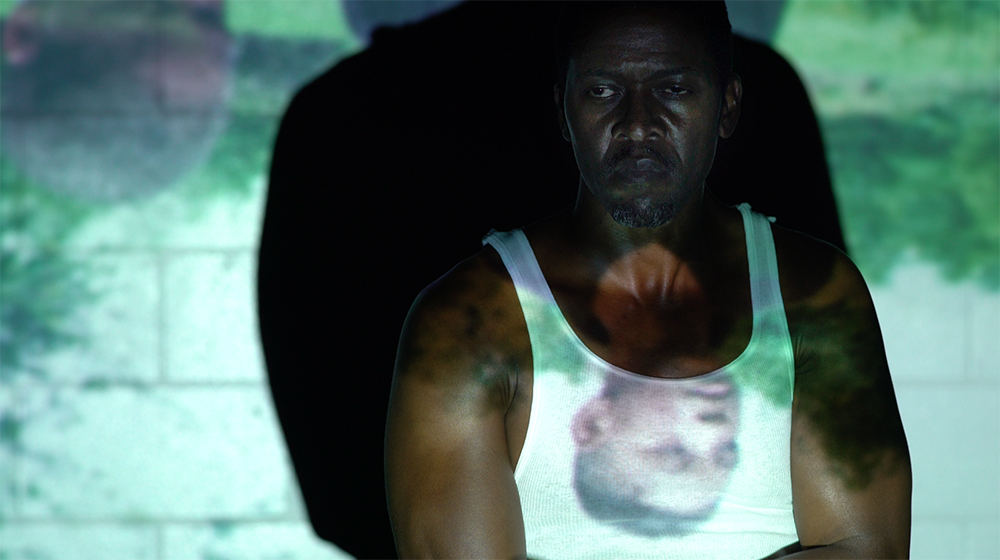 I'd Never Bother Another Chicken Again