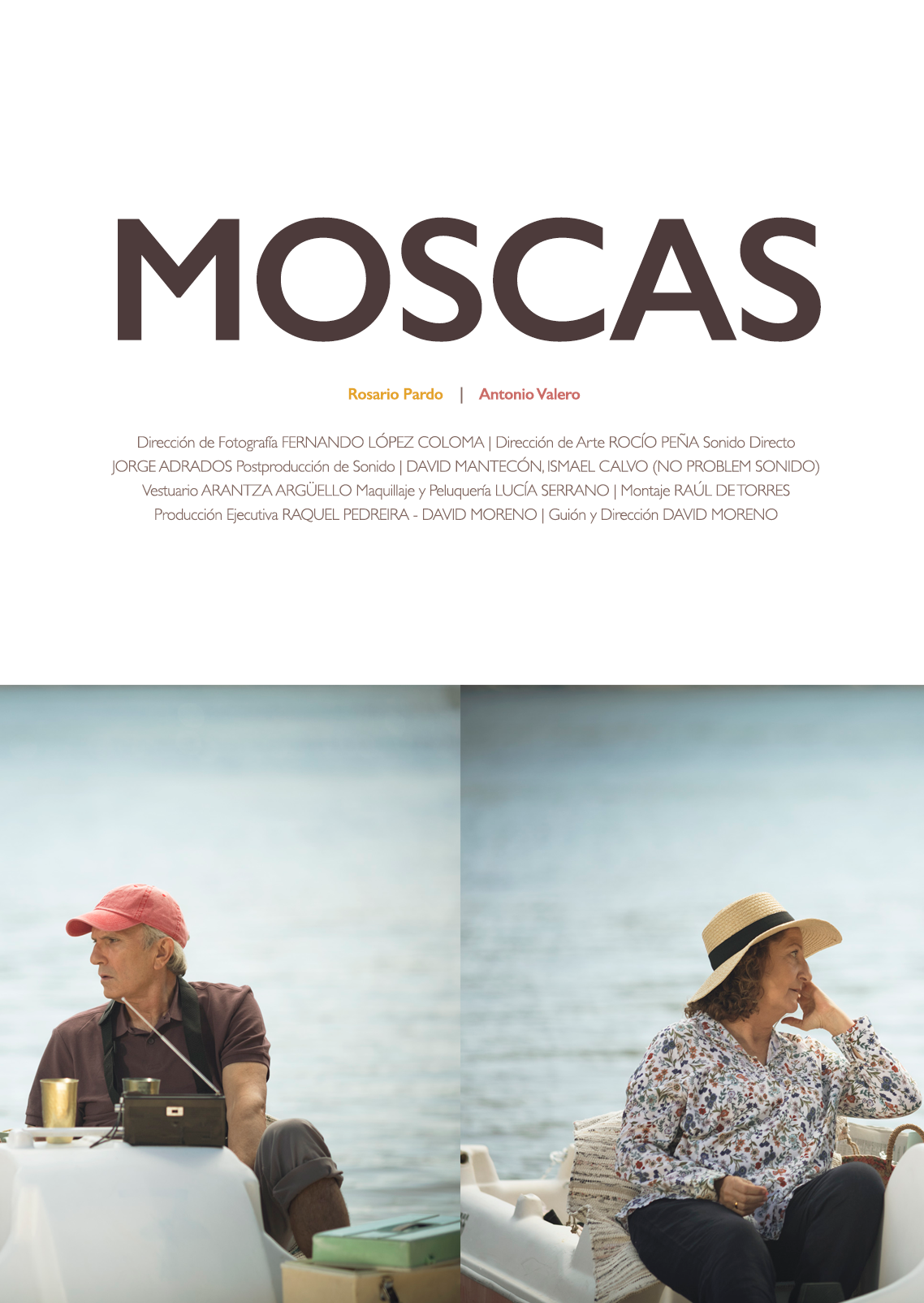 Moscas