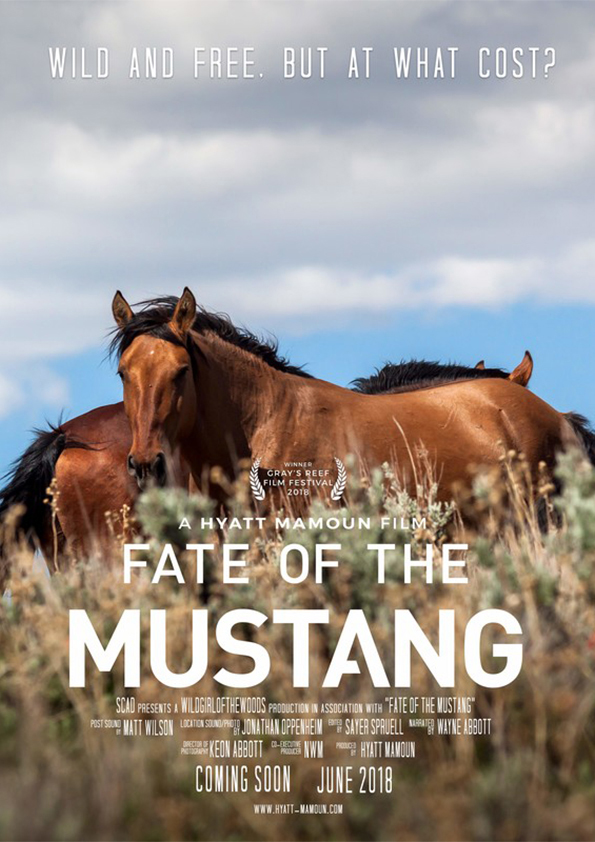 Fate of the Mustang