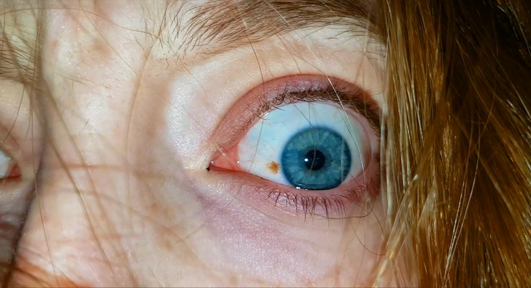 Bleed The Freak Music Video