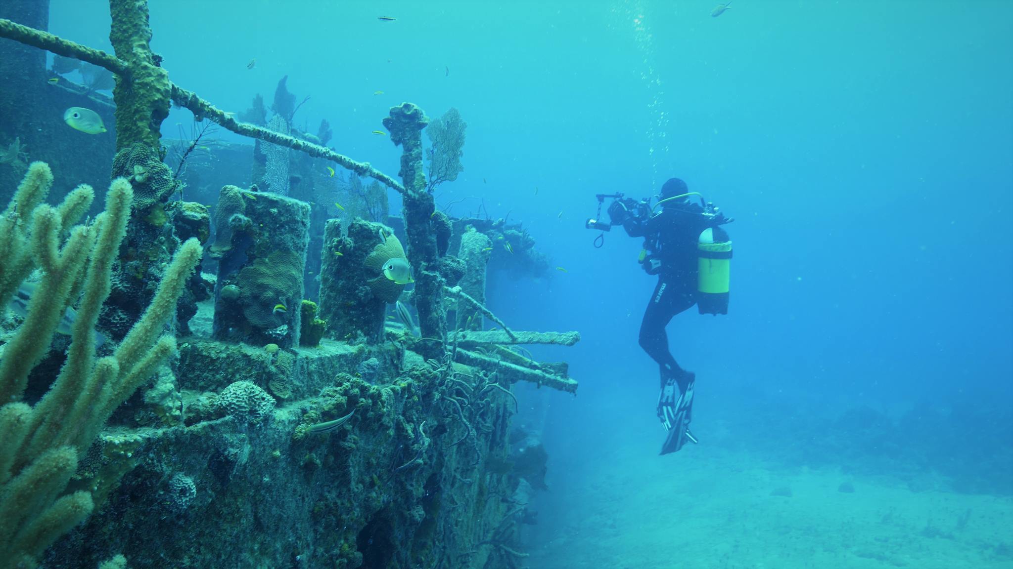 Syndrome du Bernard-L'Hermite