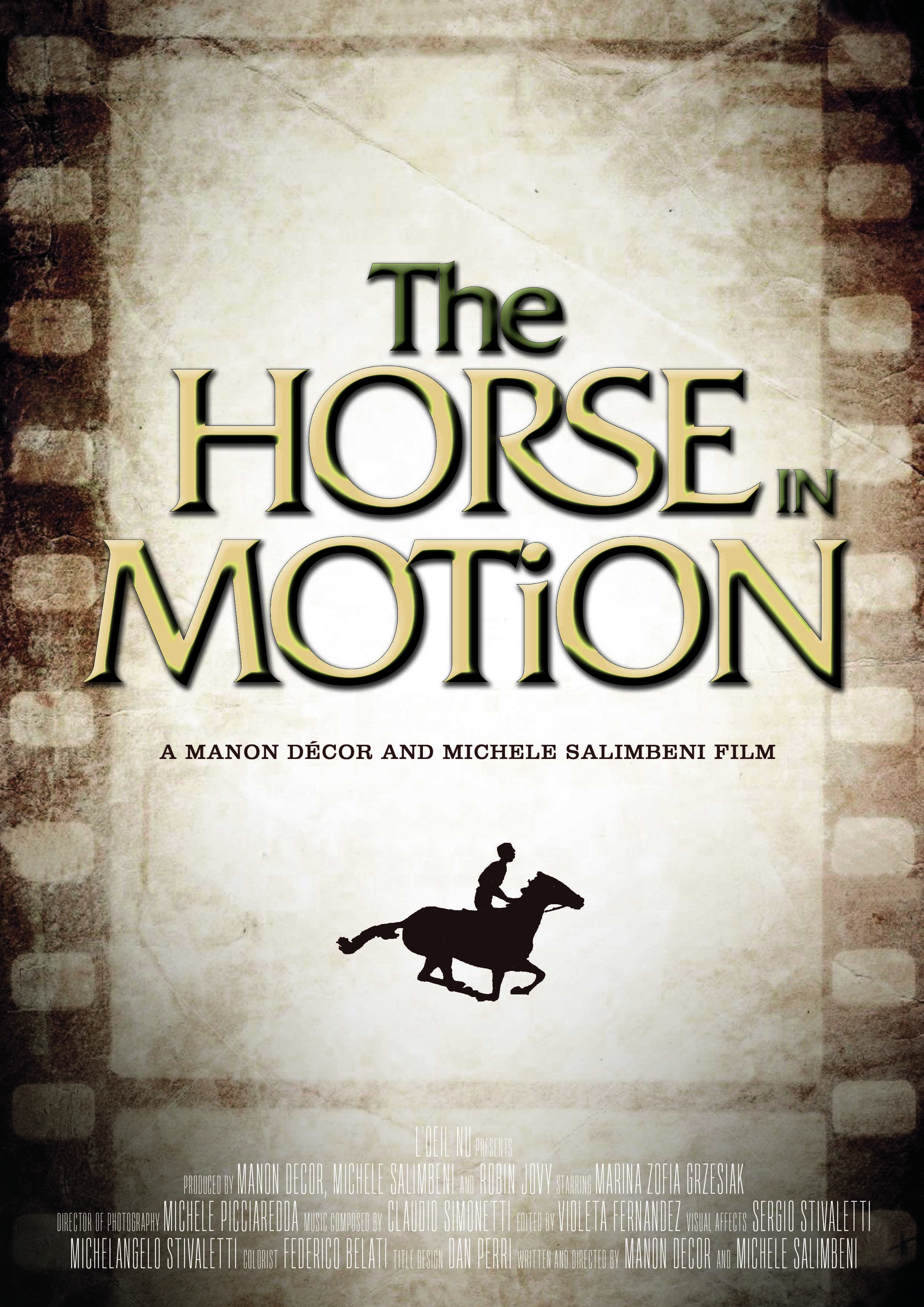 Horse in motion