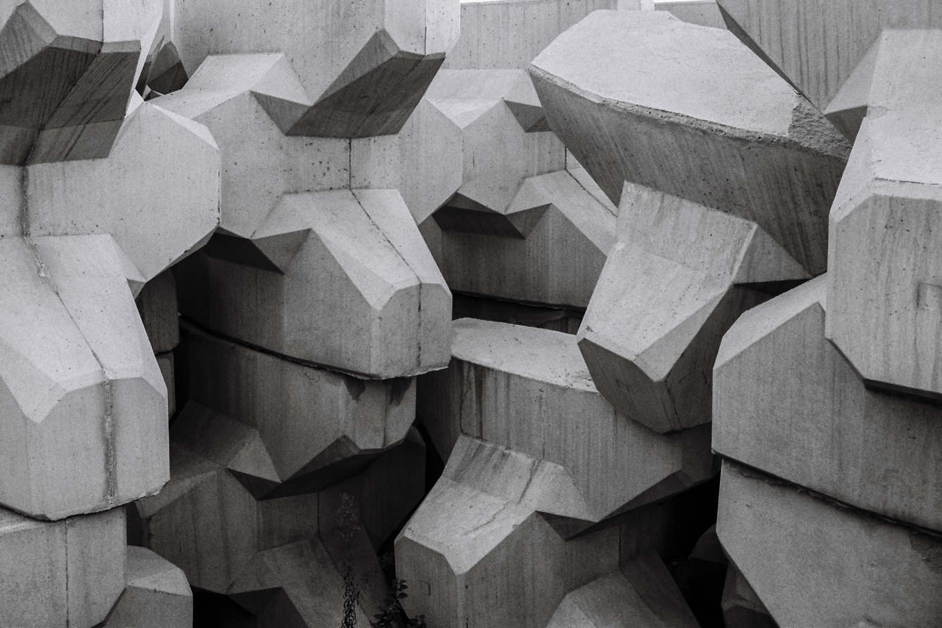 Oiseaux Tempête - Carnaval