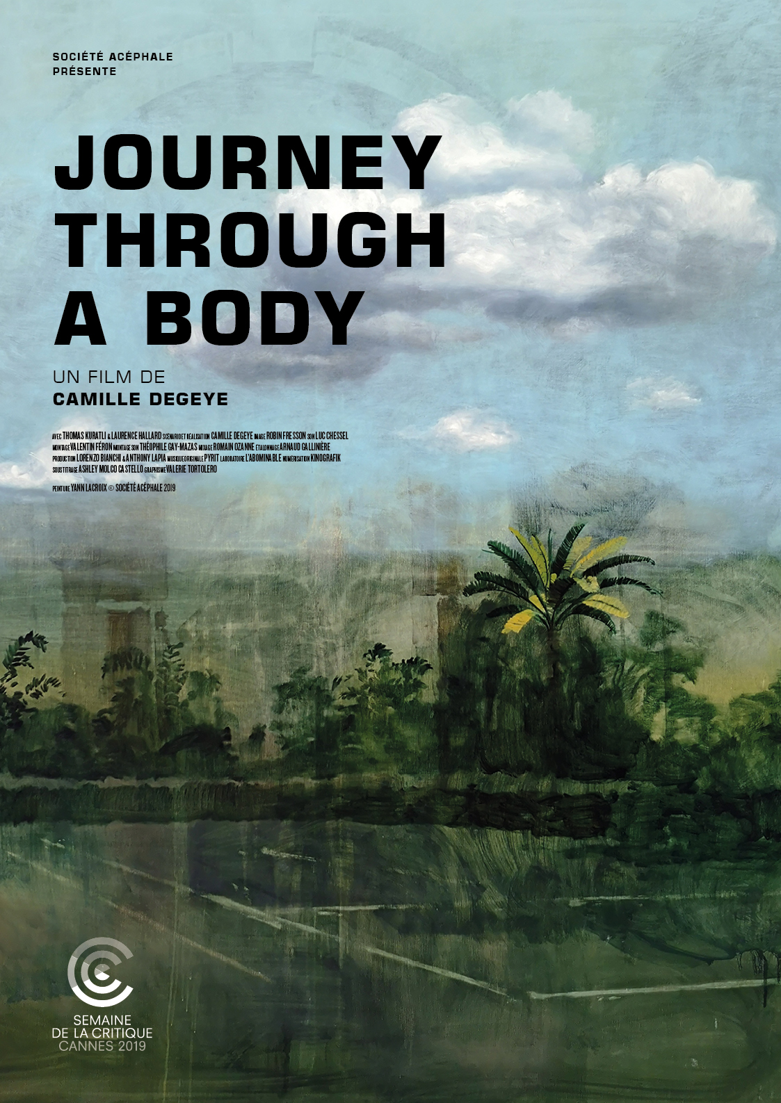 Journey Through A Body