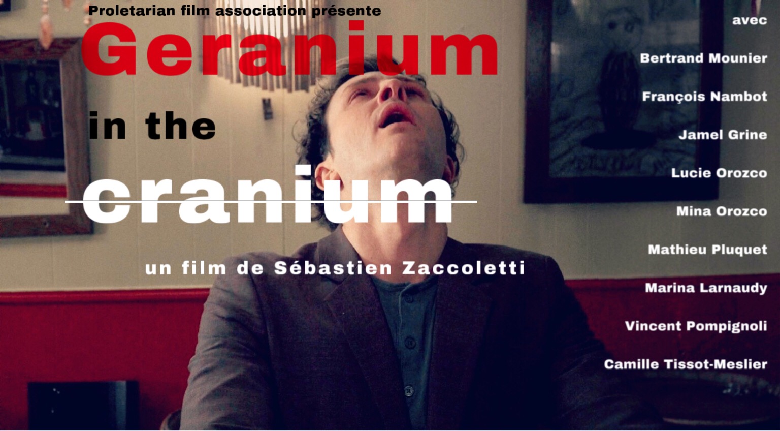 Geranium In The Cranium