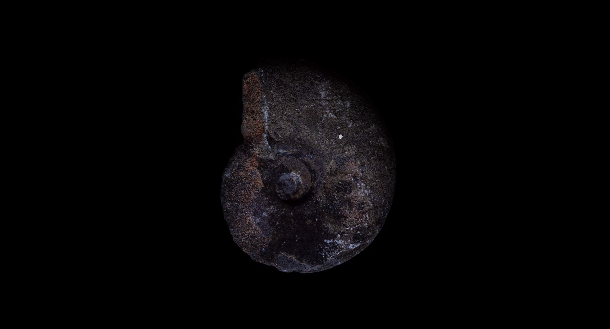 Untitled (a refusal of leave to land)