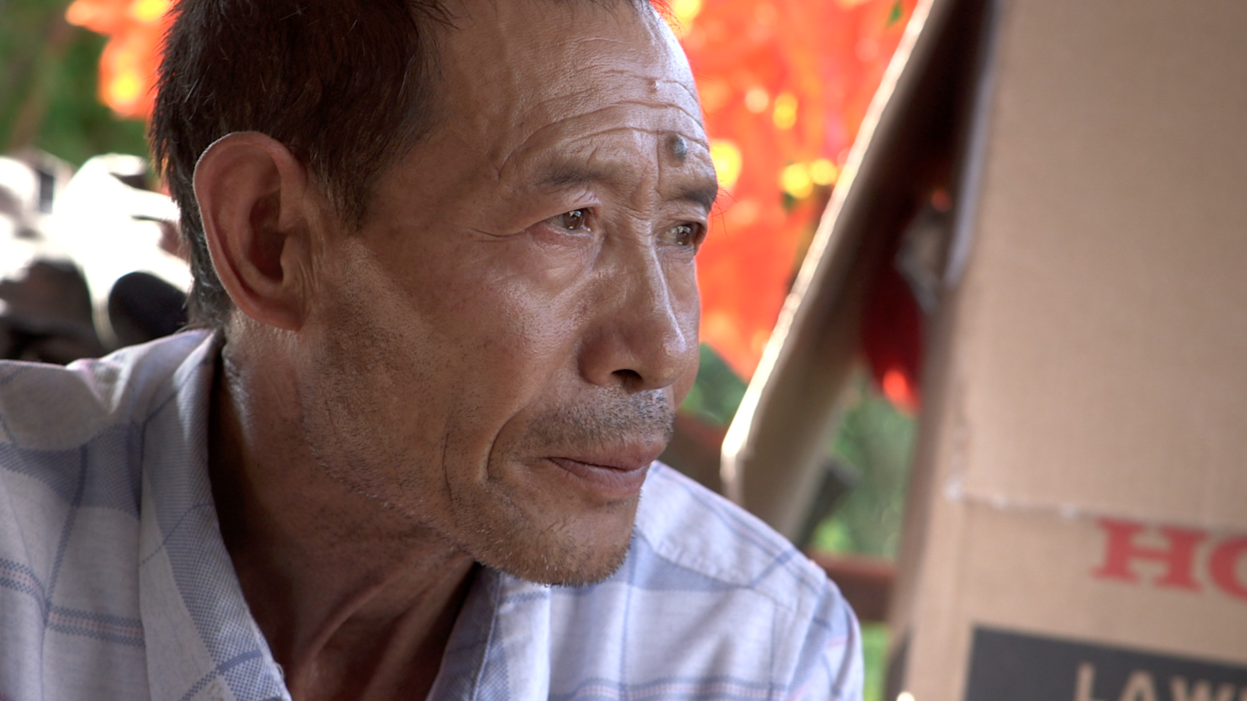 Everything Being There Flickering