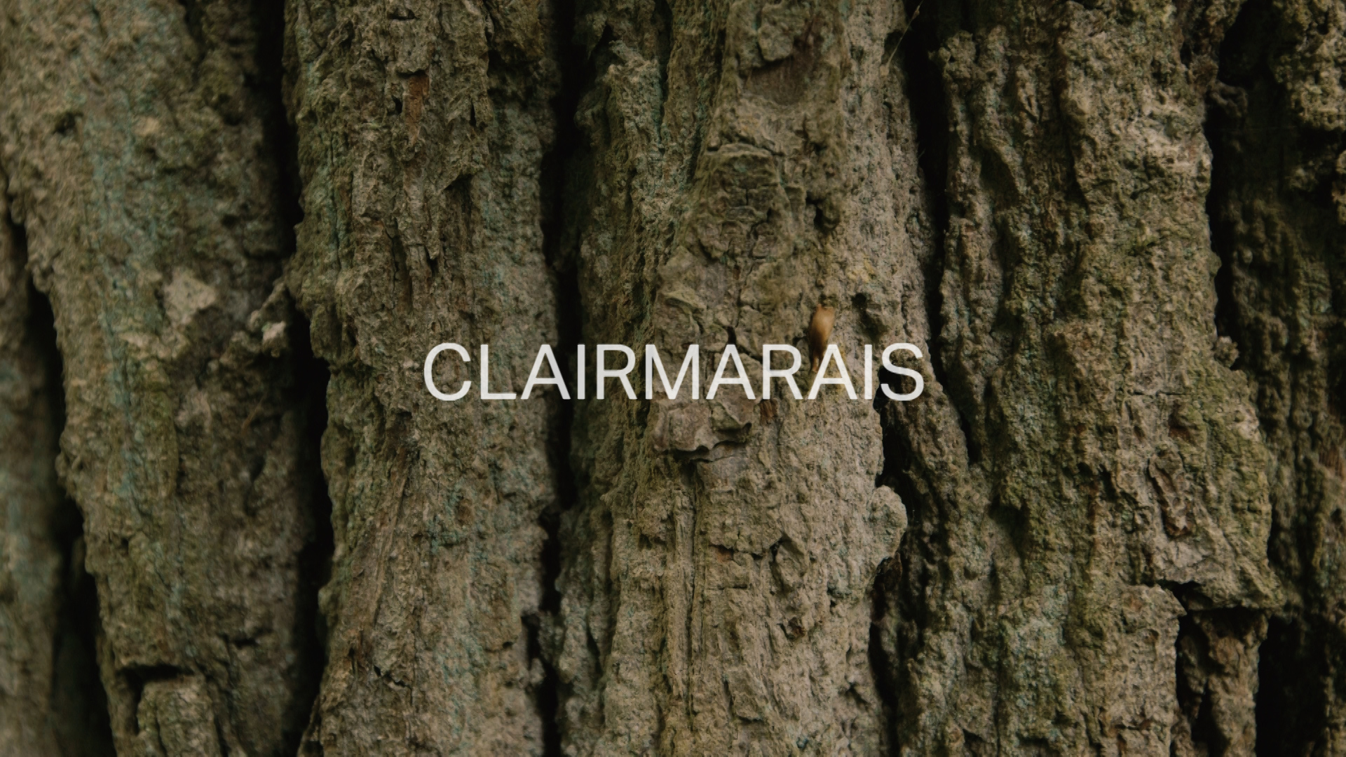 Clairmarais