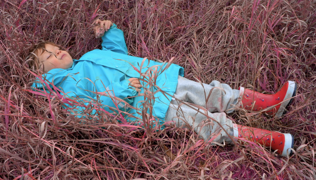 Presque pourpre A.M.