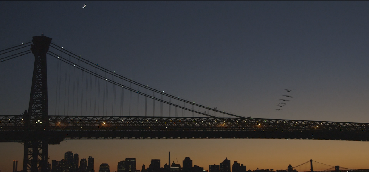 Kefir Kills The Rabbits