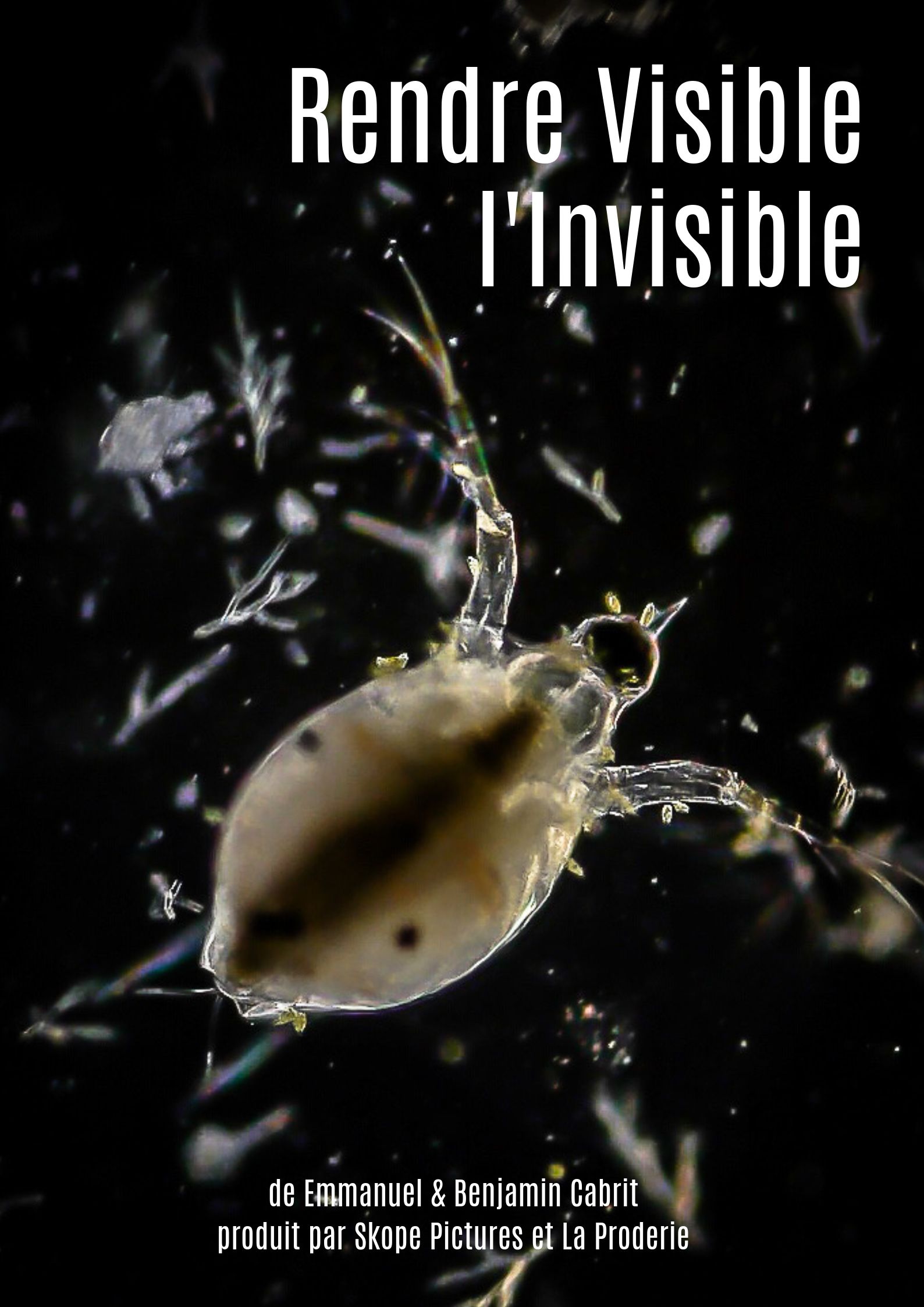 Rendre visible l'invisible