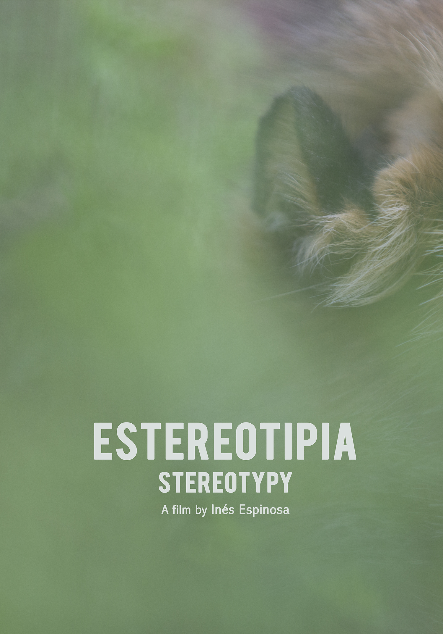 Estereotipia