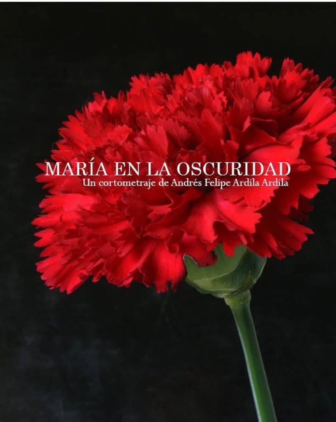 María en la oscuridad