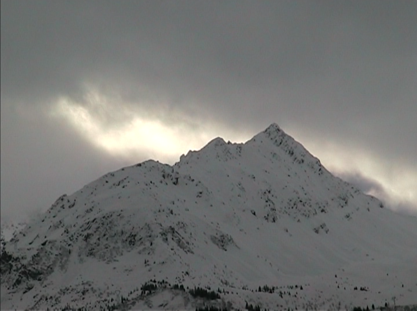 Pour Qui N'a Jamais Connu La Neige