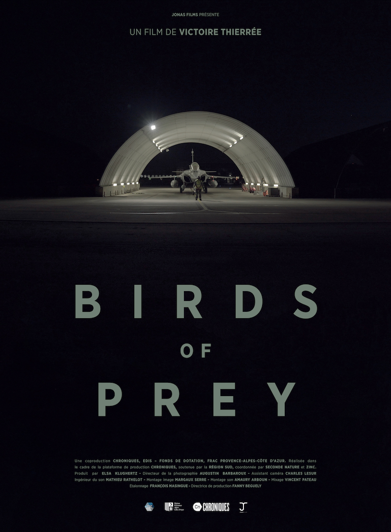 Birds Of Prey