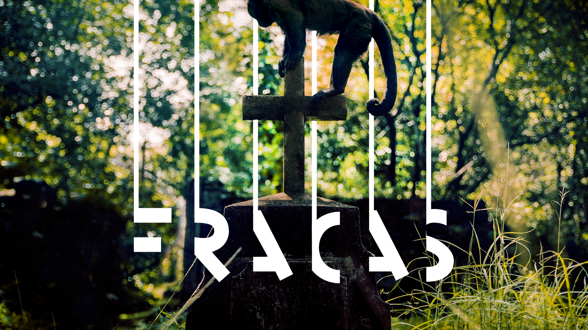 Fracas