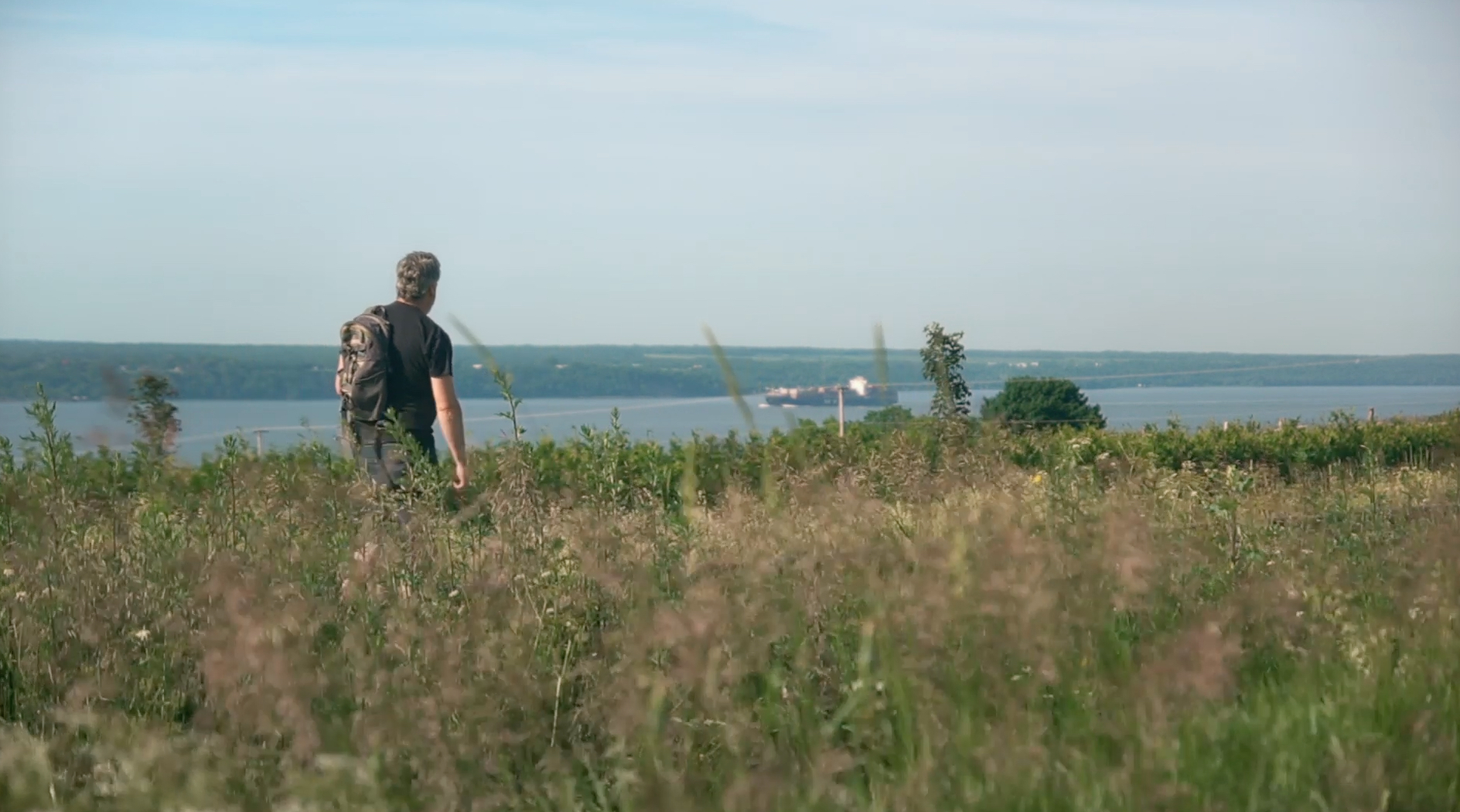 Steph et la chenille à poils
