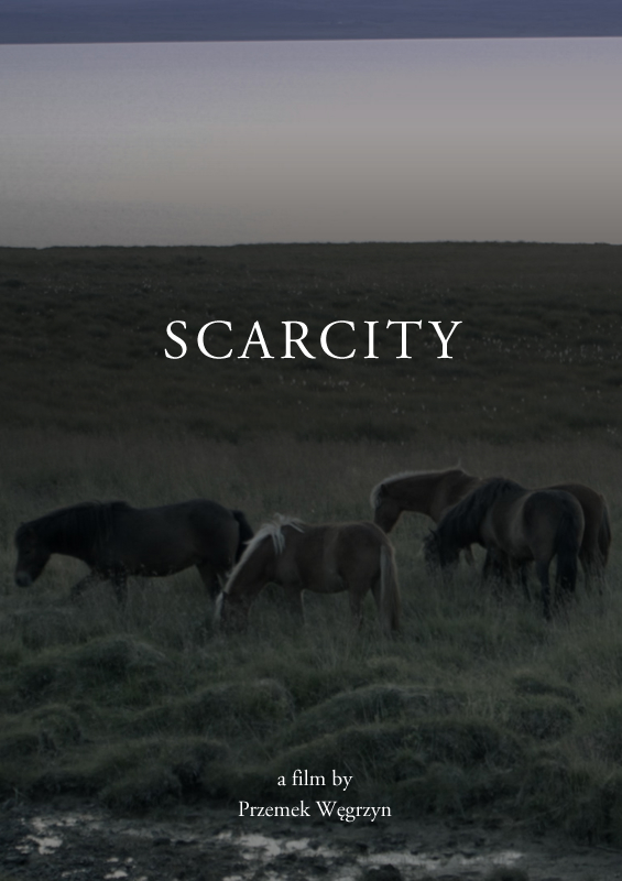 Scarcity