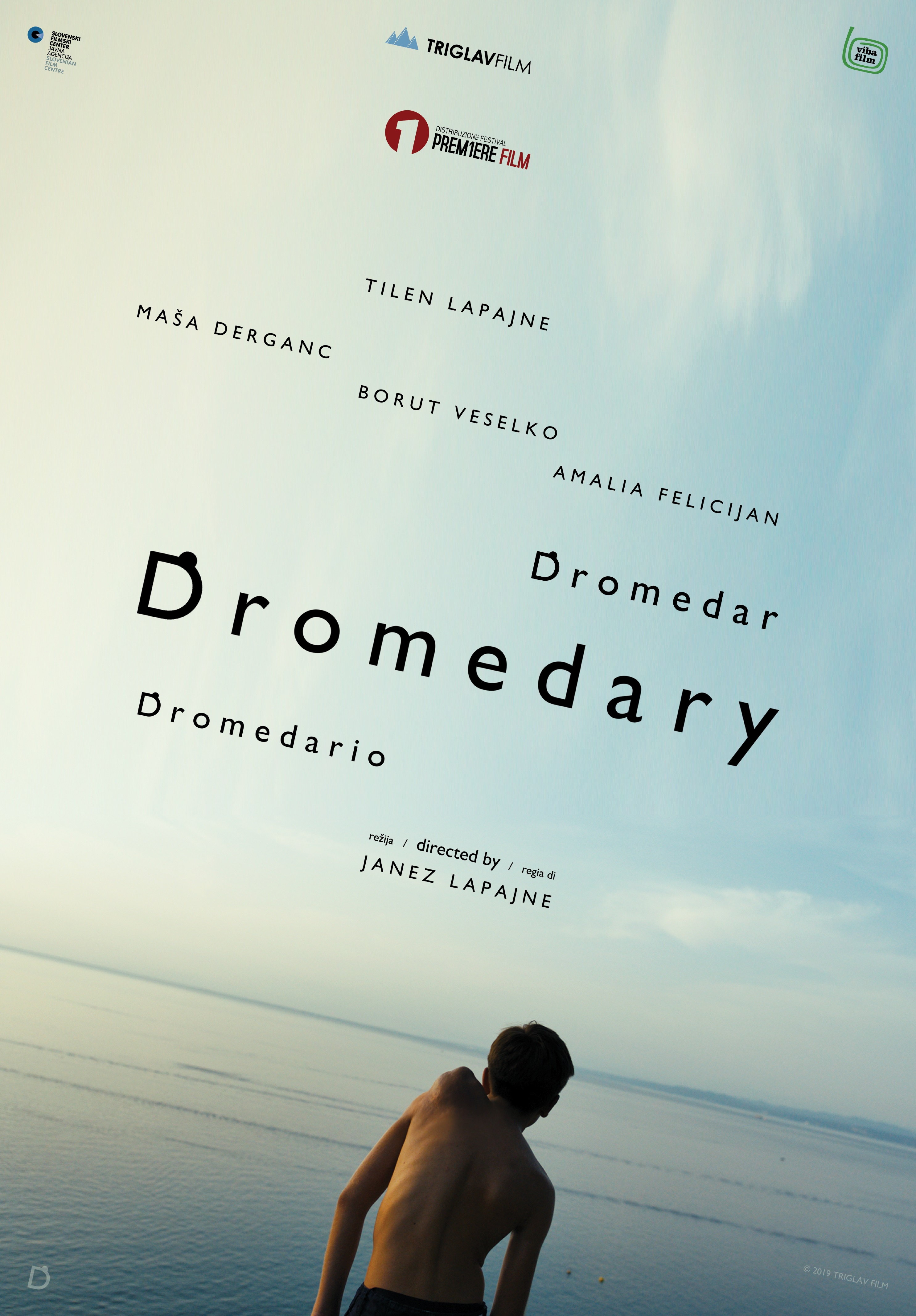 Dromedar