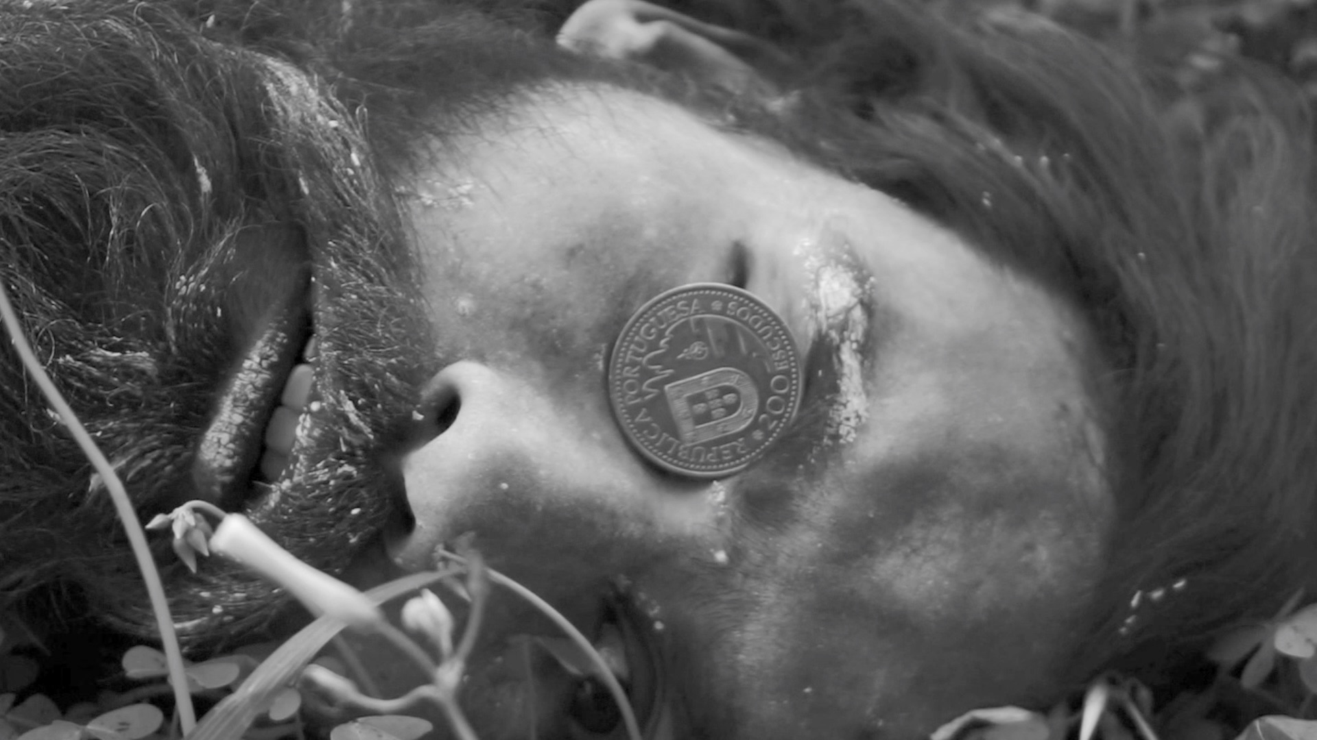 Enquanto os Leões Dormem...