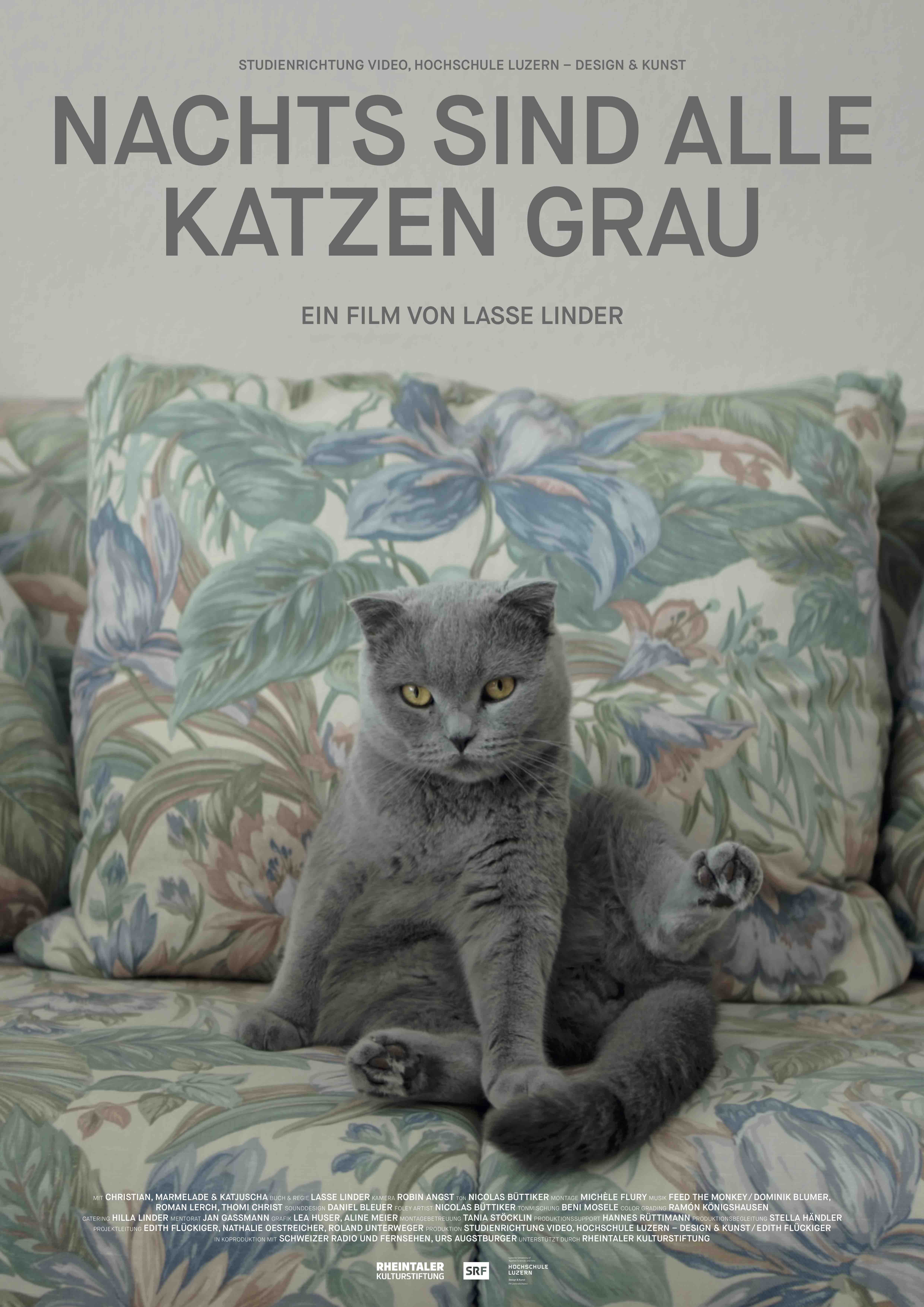 Nachts sind alle Katzen grau