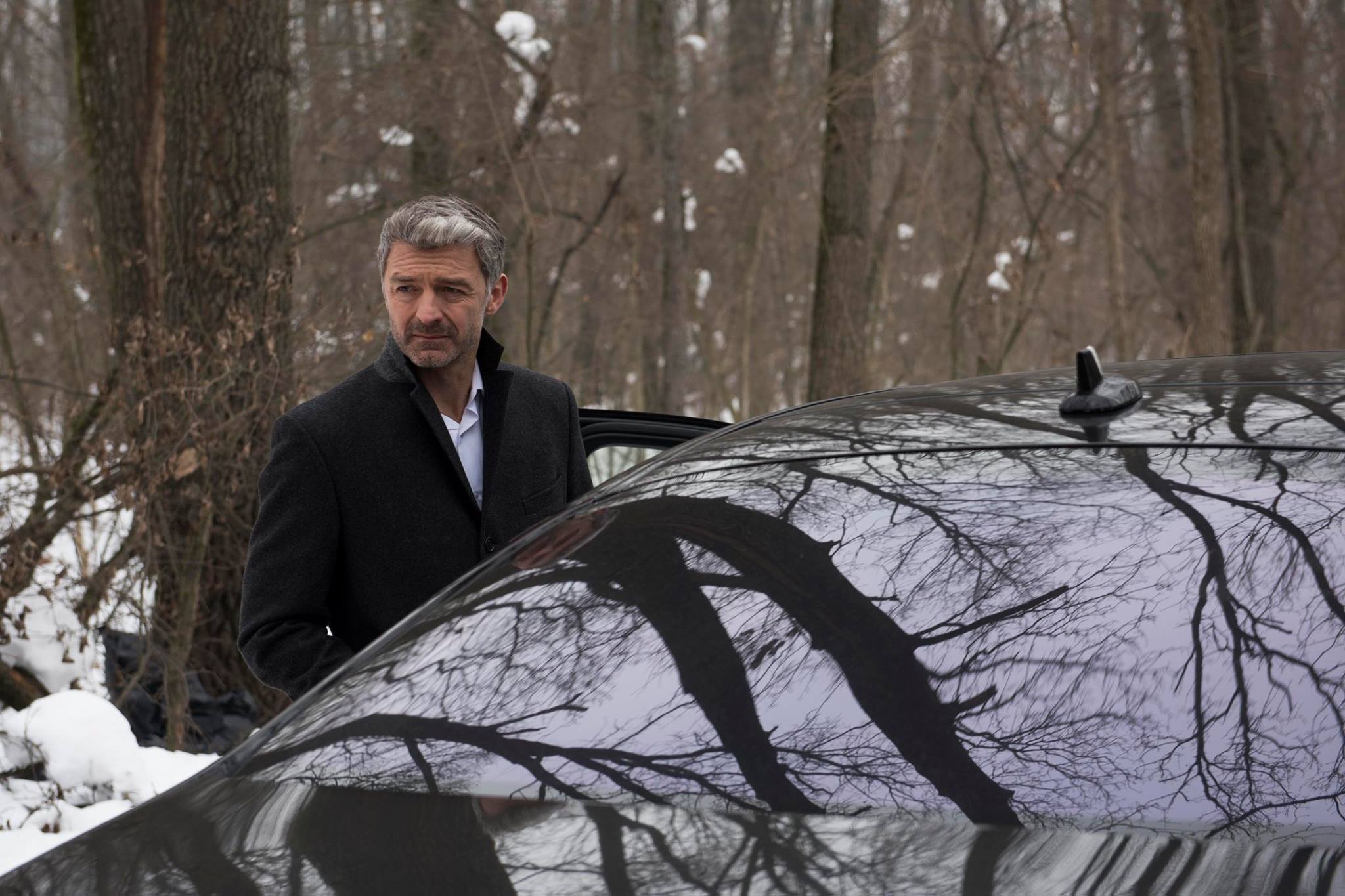 Forma Inimii In Praf