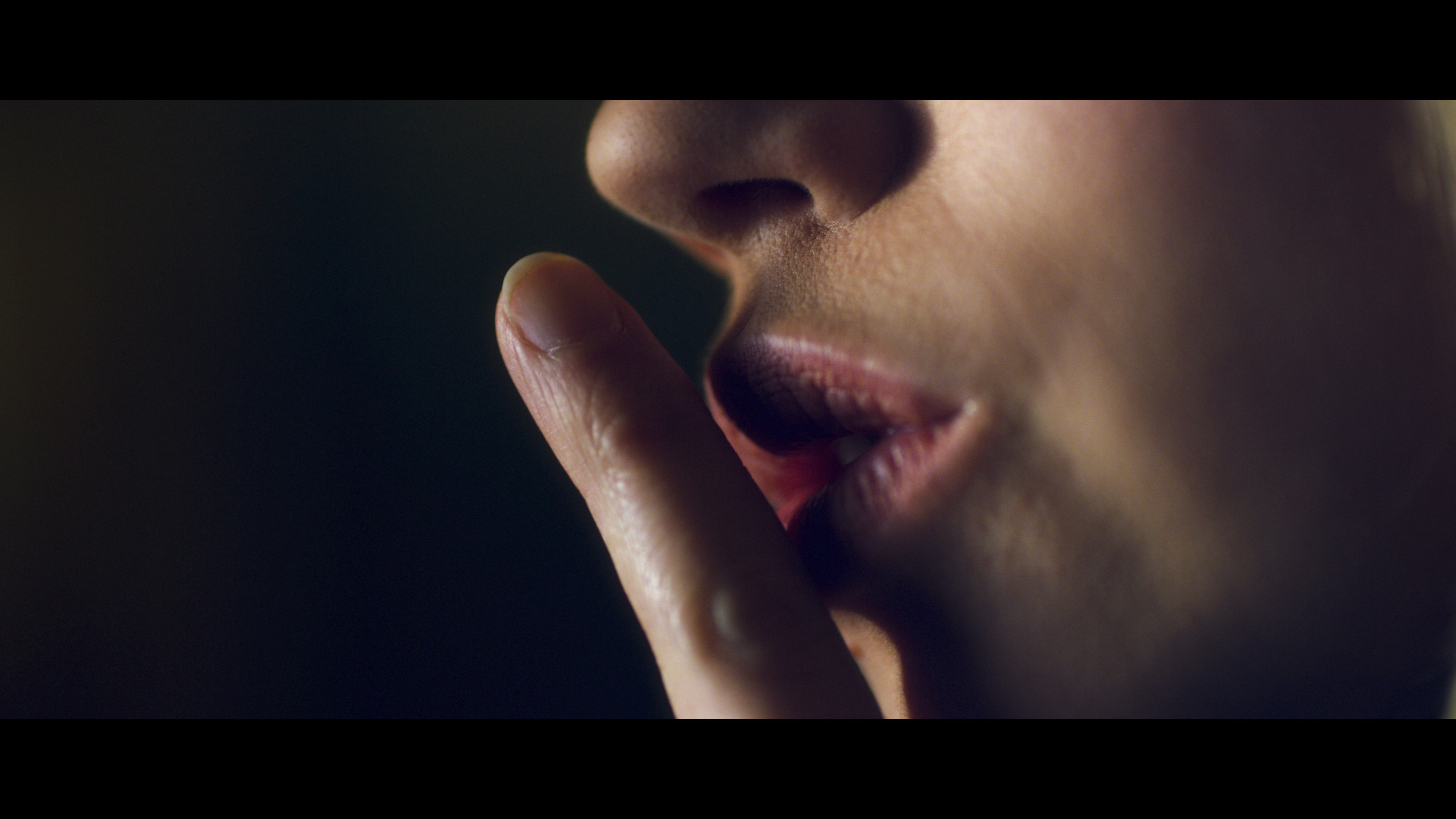 Gentle Art Of Violence