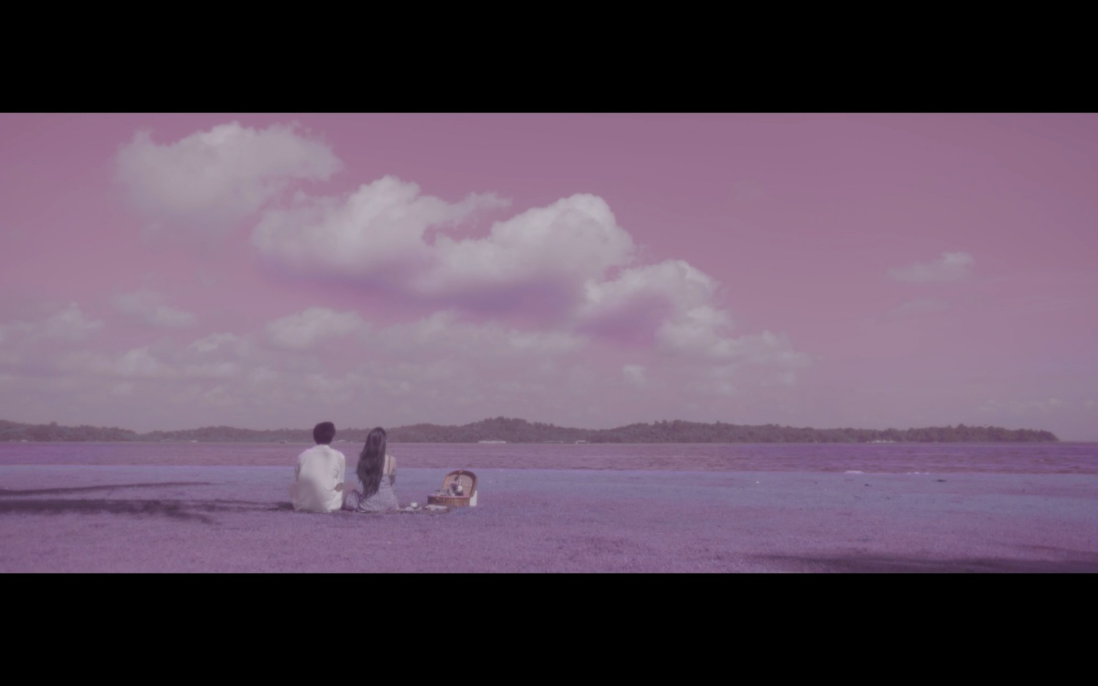 Shades of Lavender