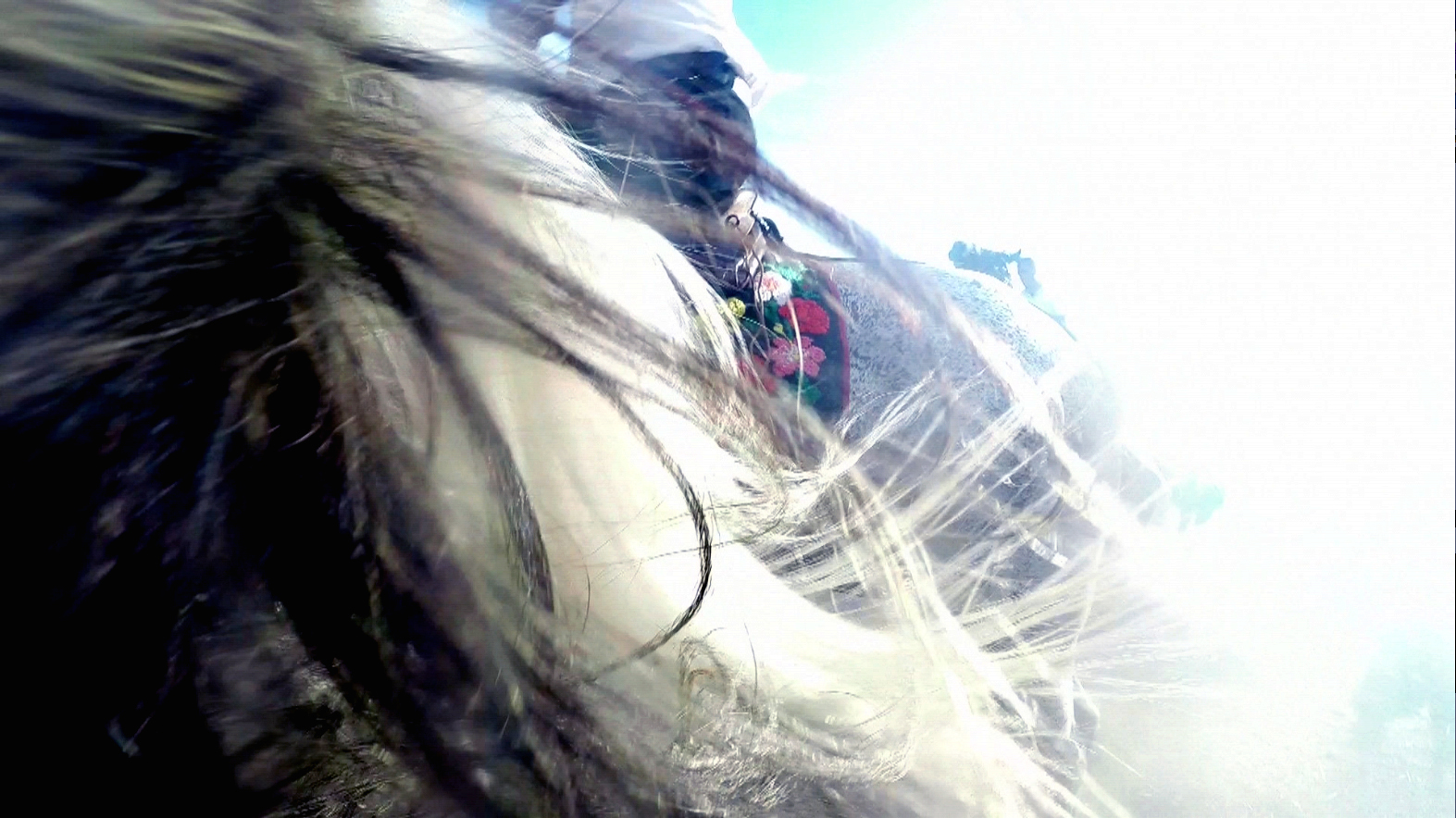 Tutto di contrappunto