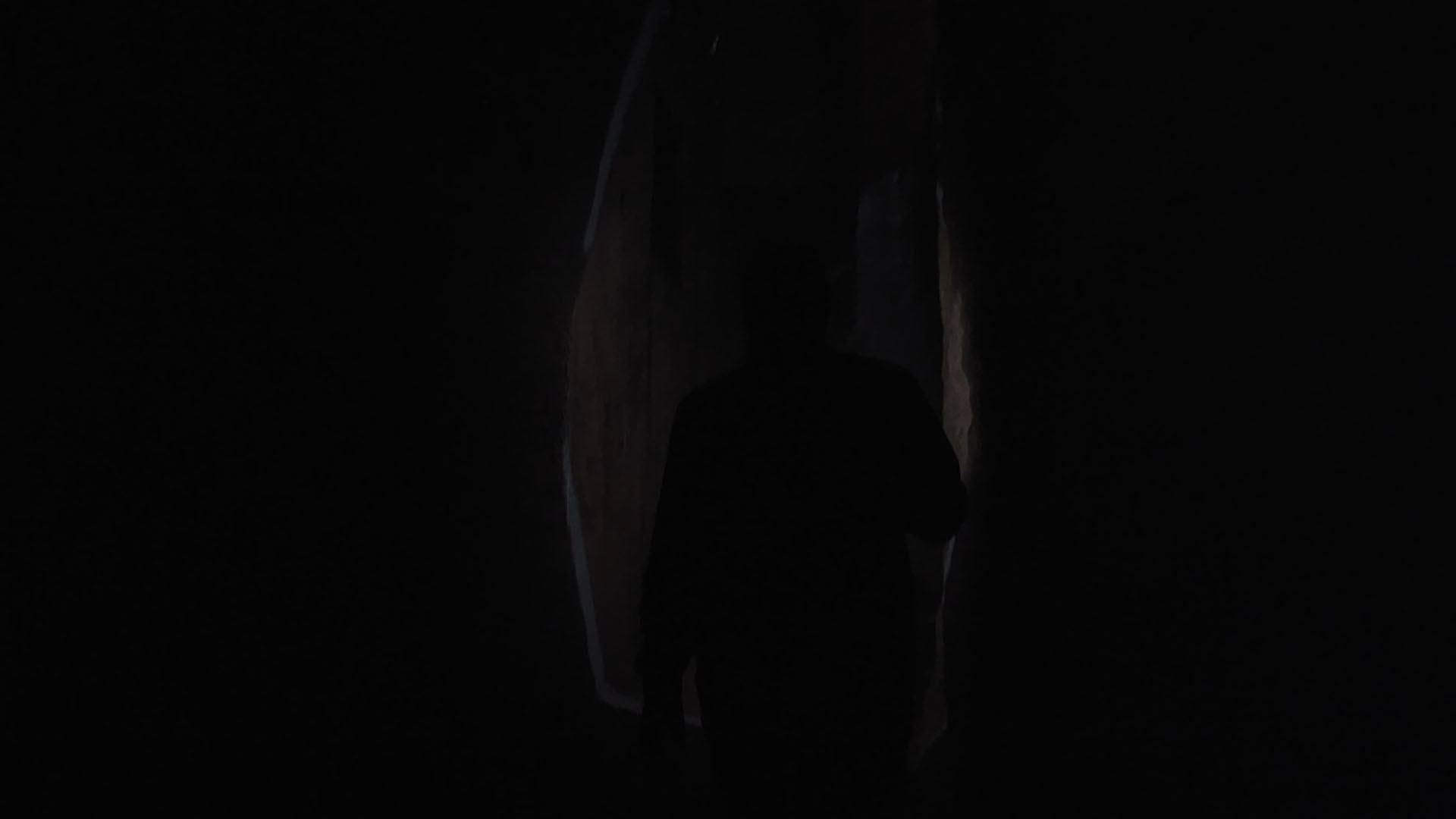 Most of what follows is true