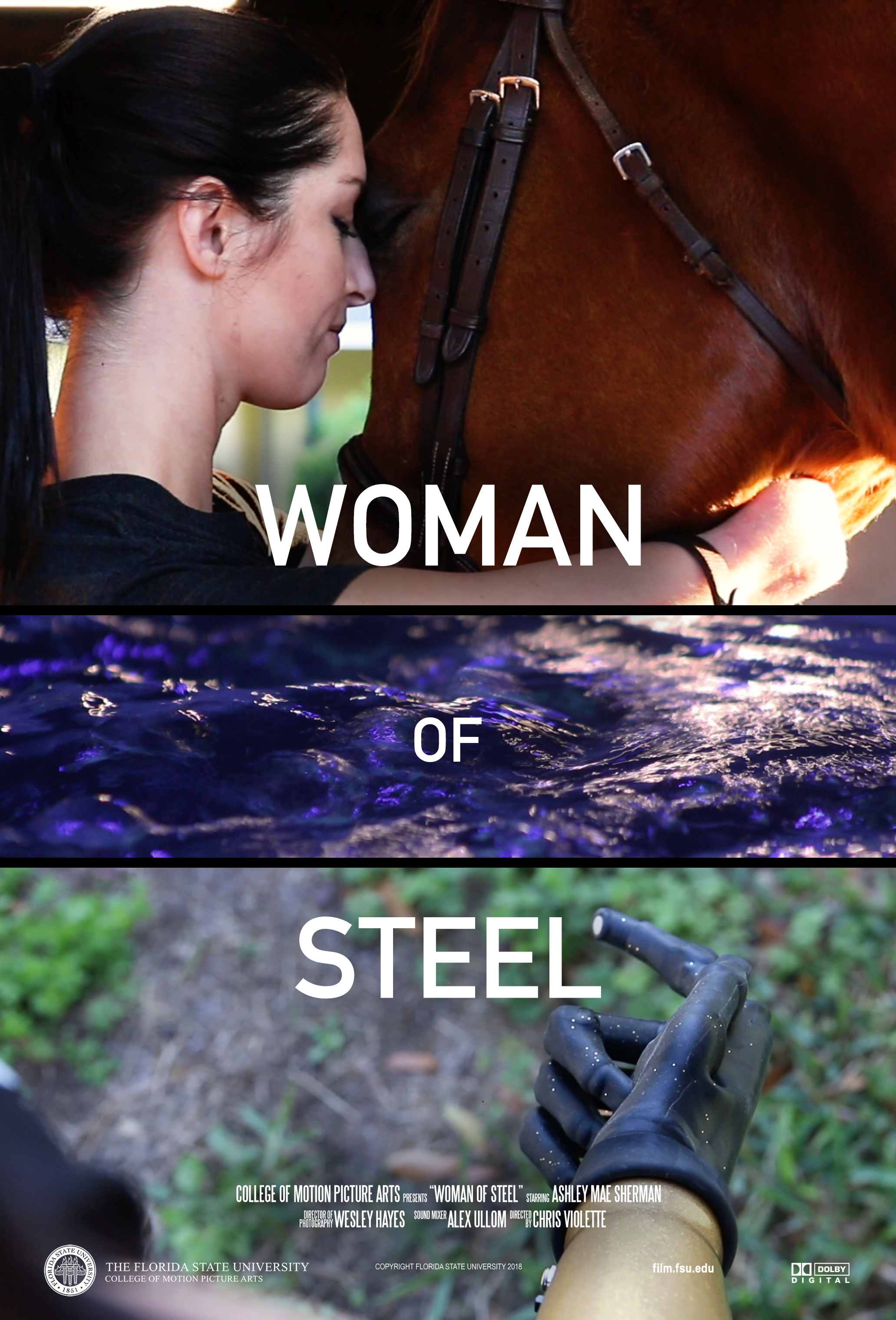 Woman of Steel