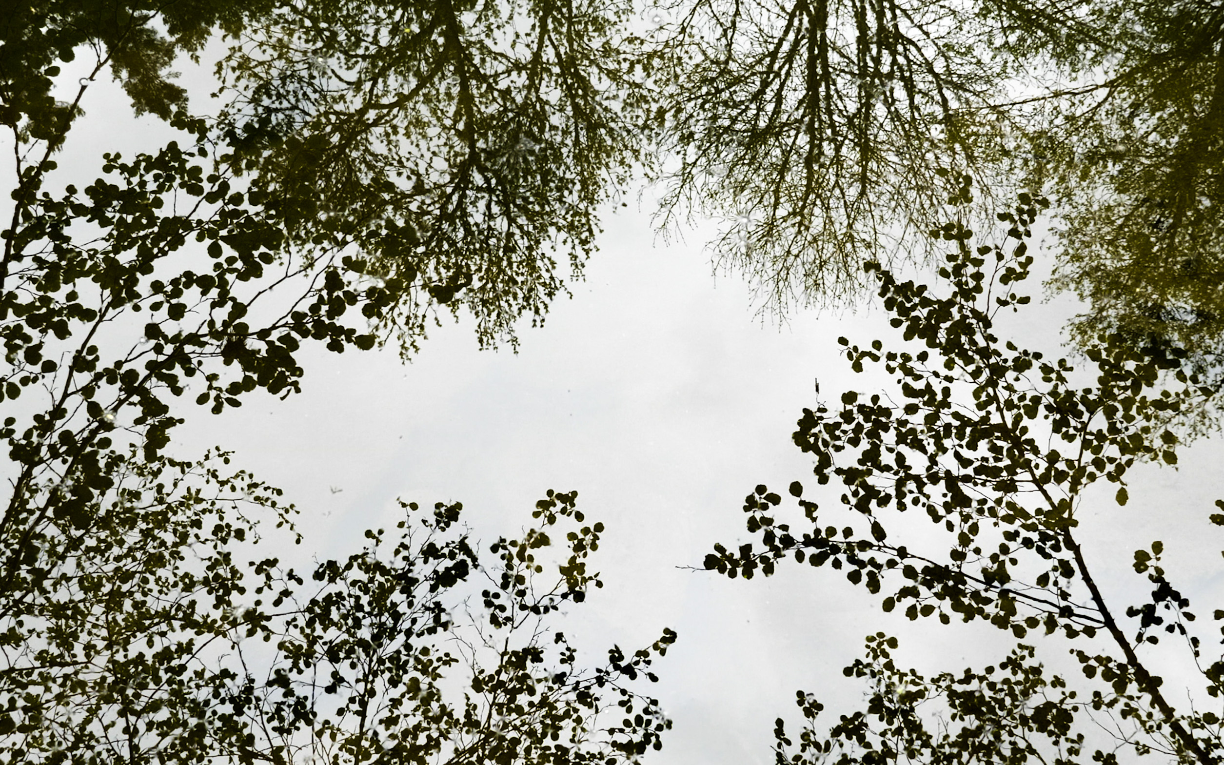 Nos Rivières Fantômes