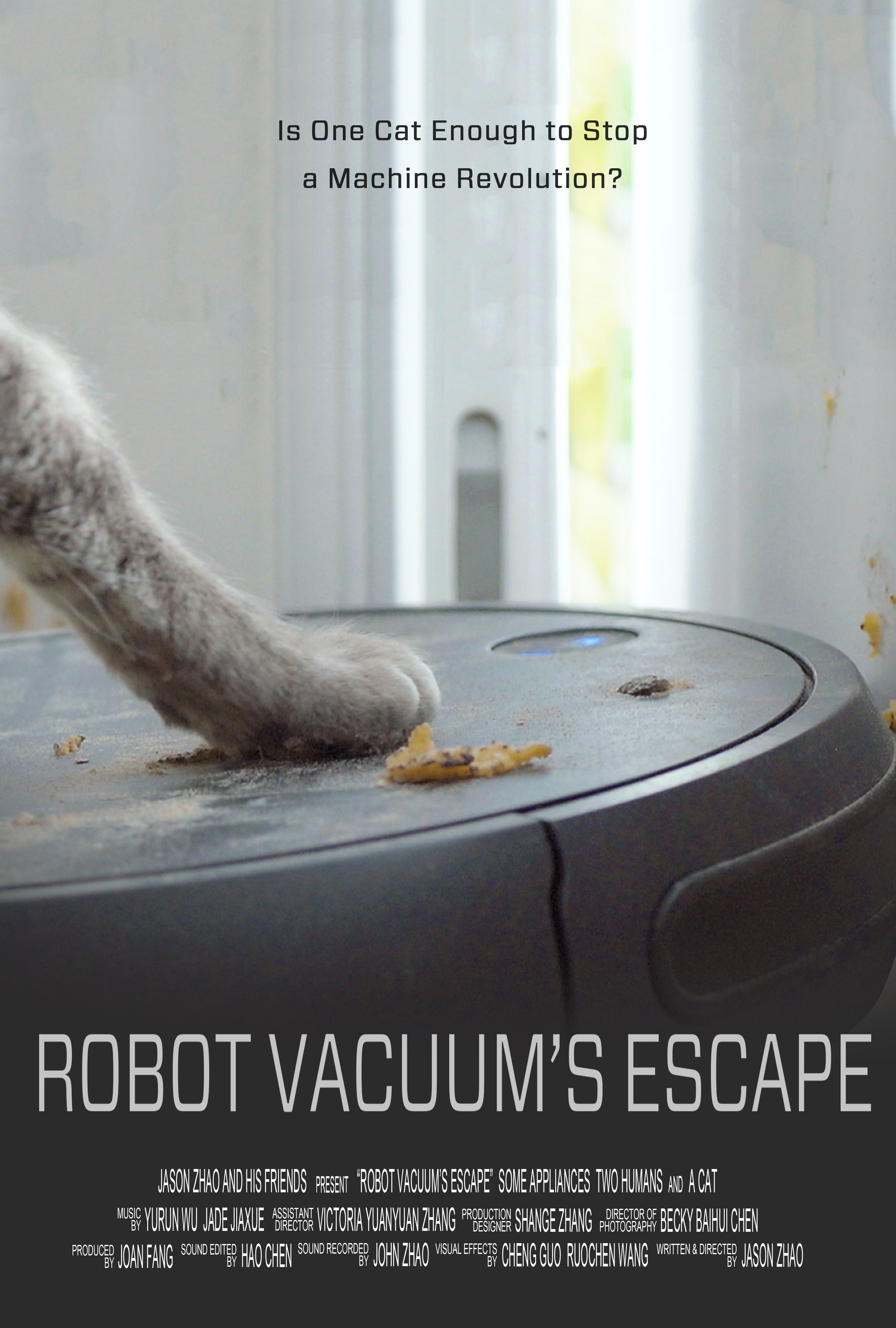 Robot Vacuum's Escape