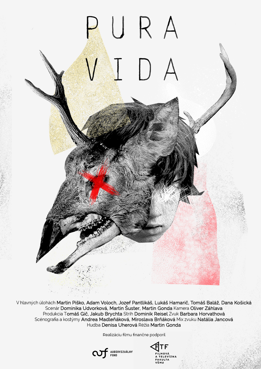 Pura Vida