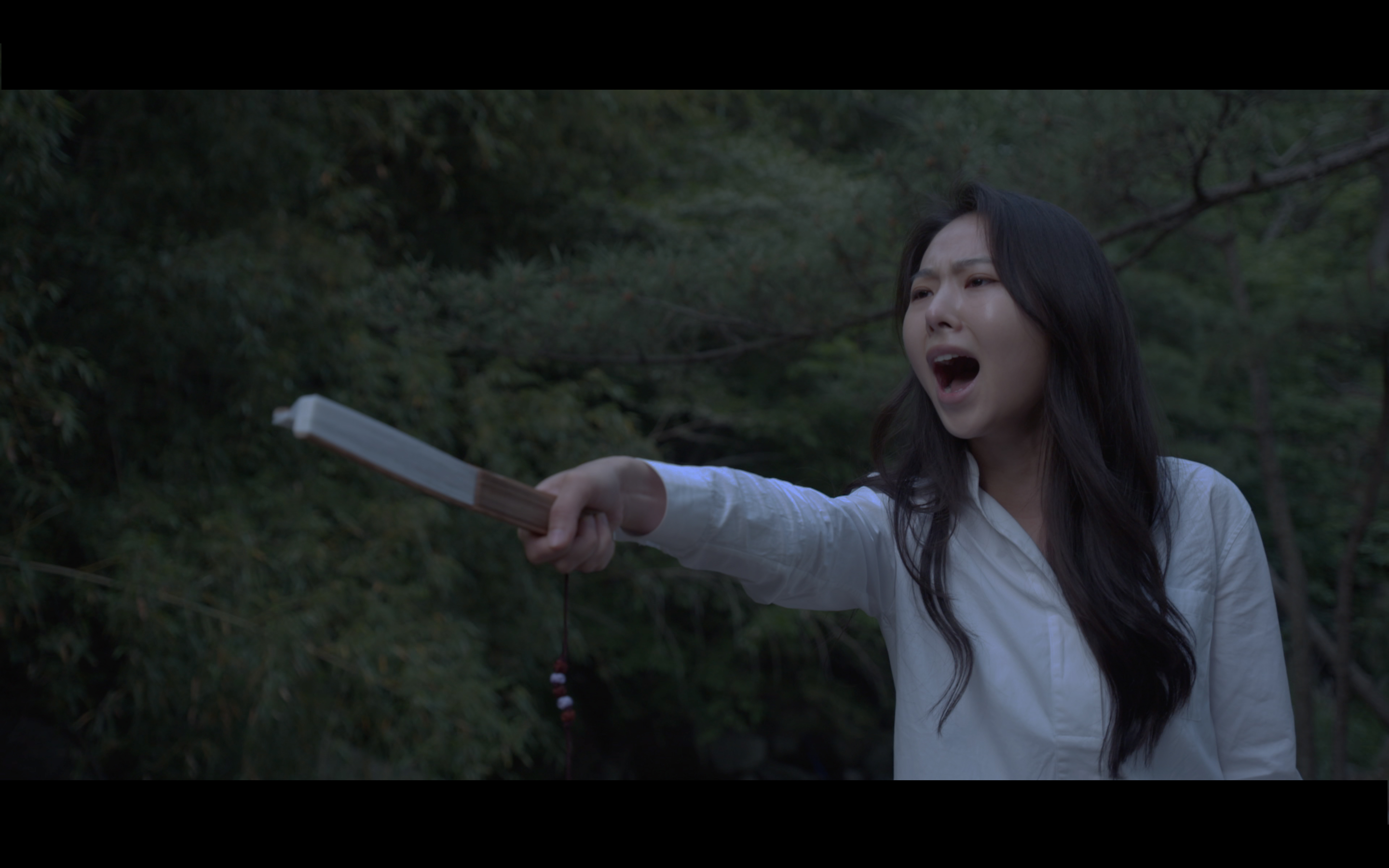 In the Land Of Morning Calm