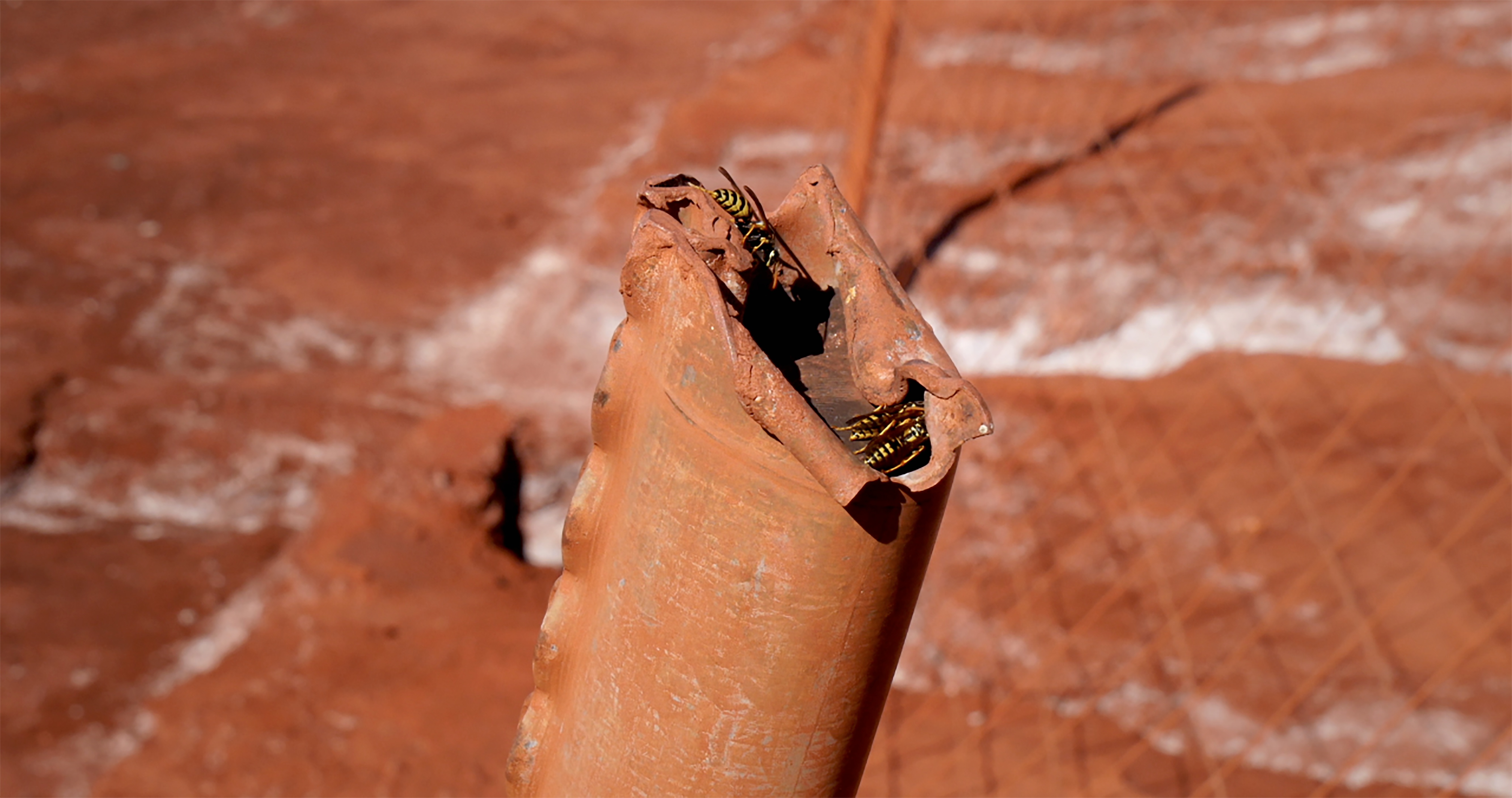 Car les hommes passent