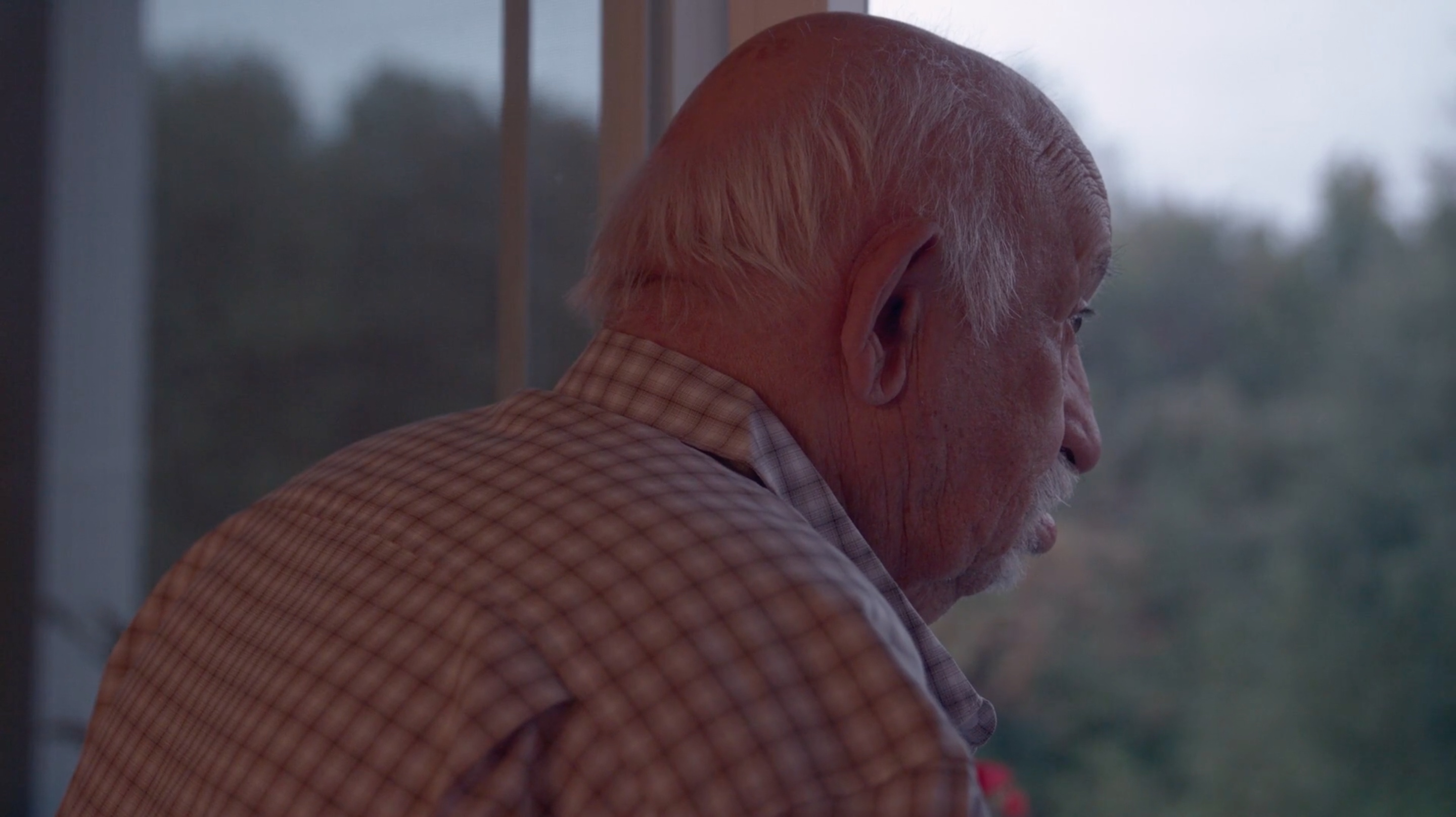 Vers des champs inconnus