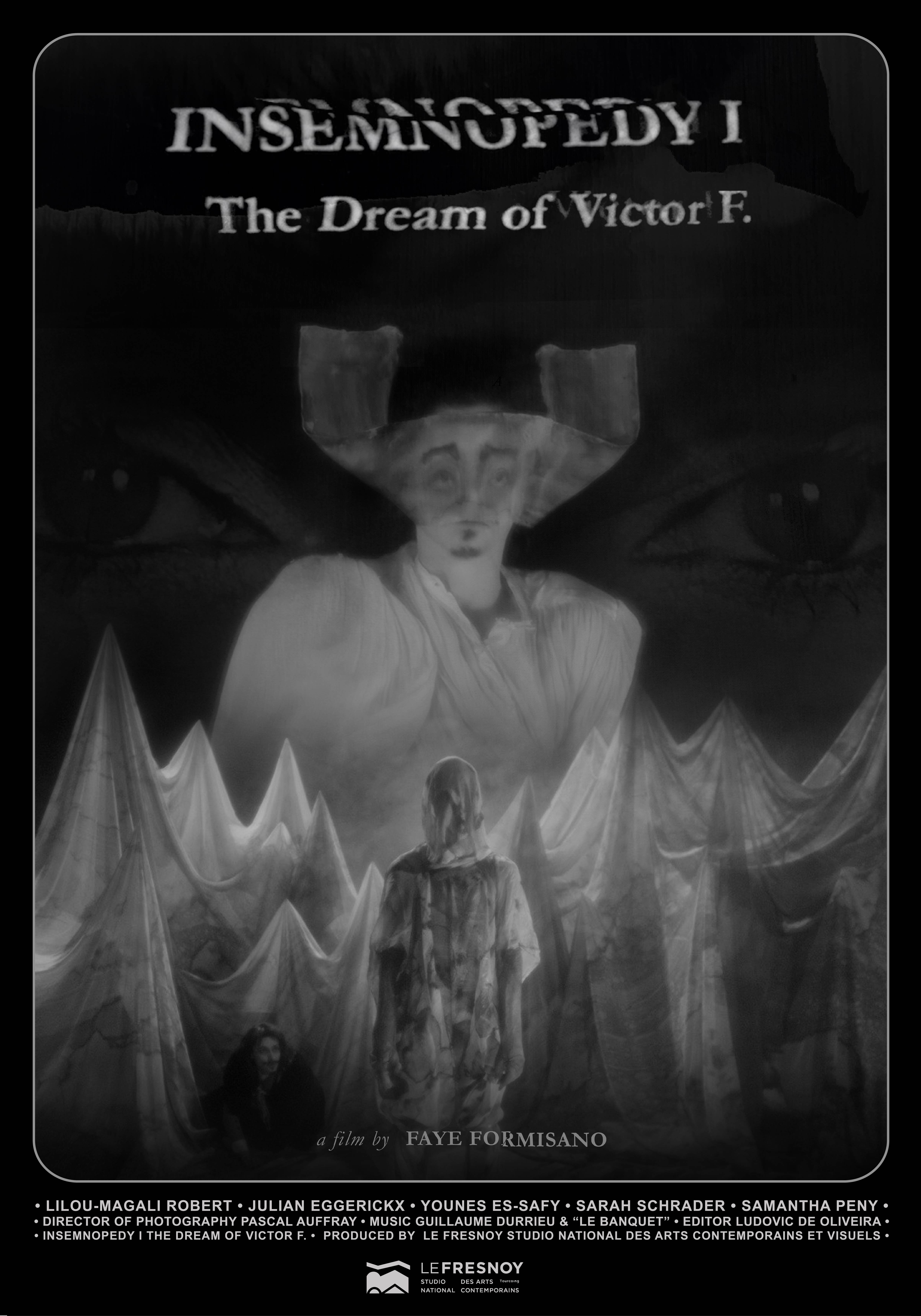 Insemnopedy I : the dream of Victor F.