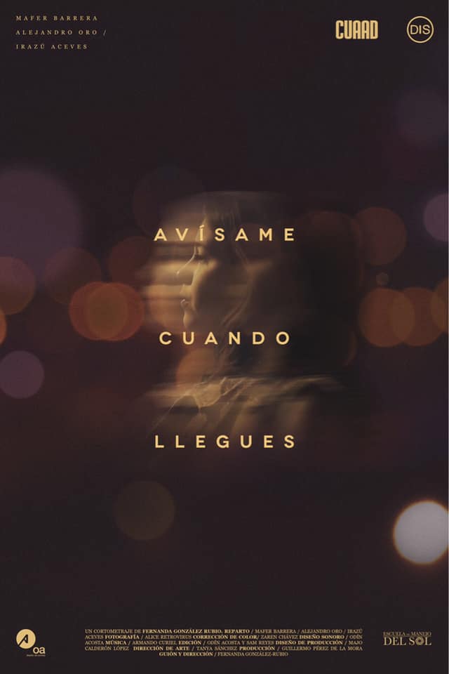 Avísame Cuando Llegues