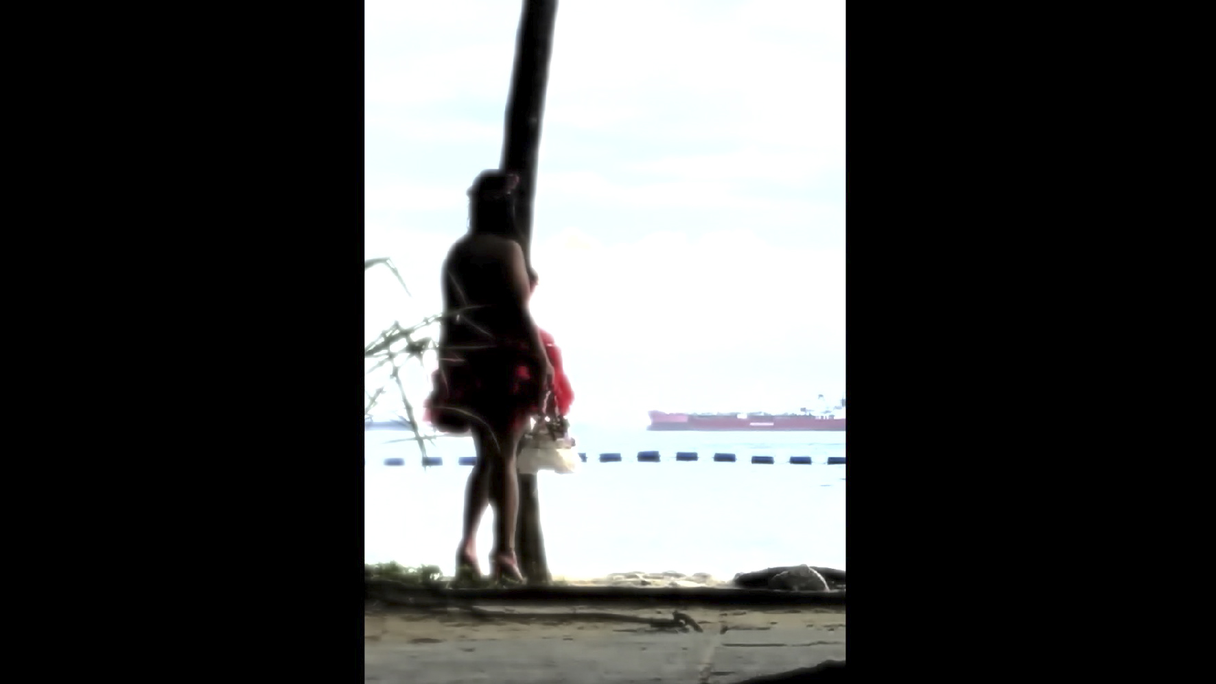 Little Red Riding Hood is watching  the Big Bad Wolf attacking the Little Red Ta