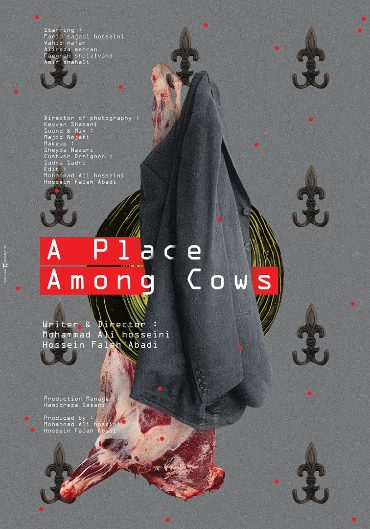 A Place Among Cows